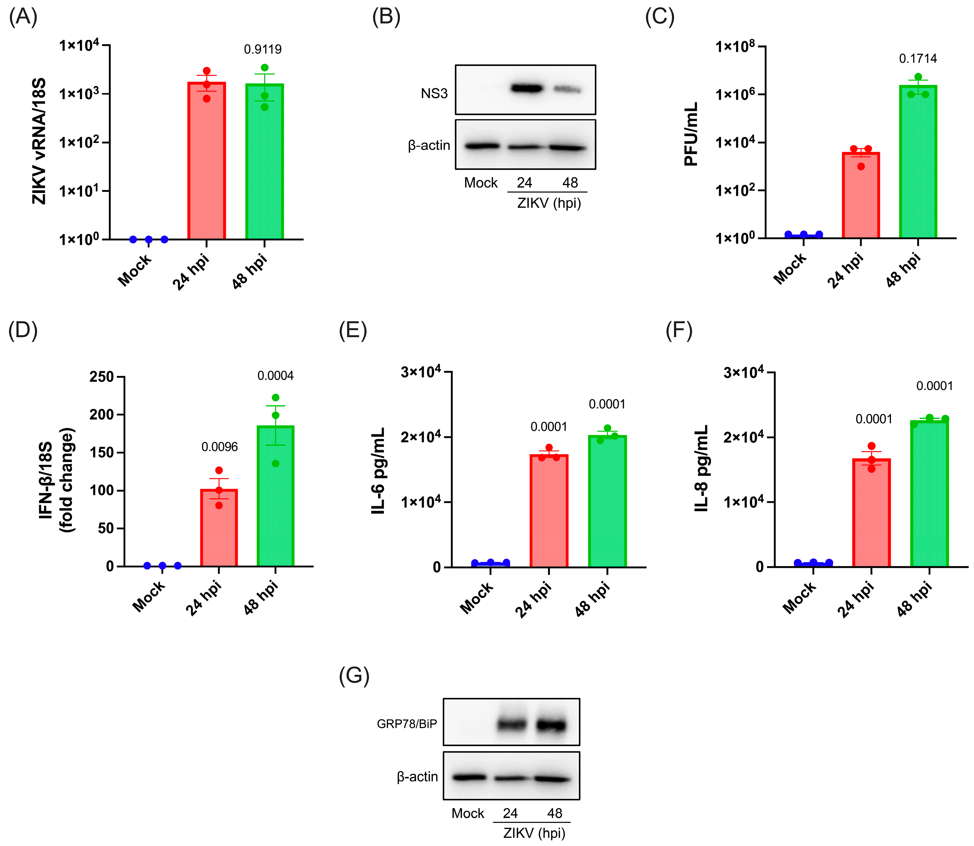 Viruses 17 01291 g001