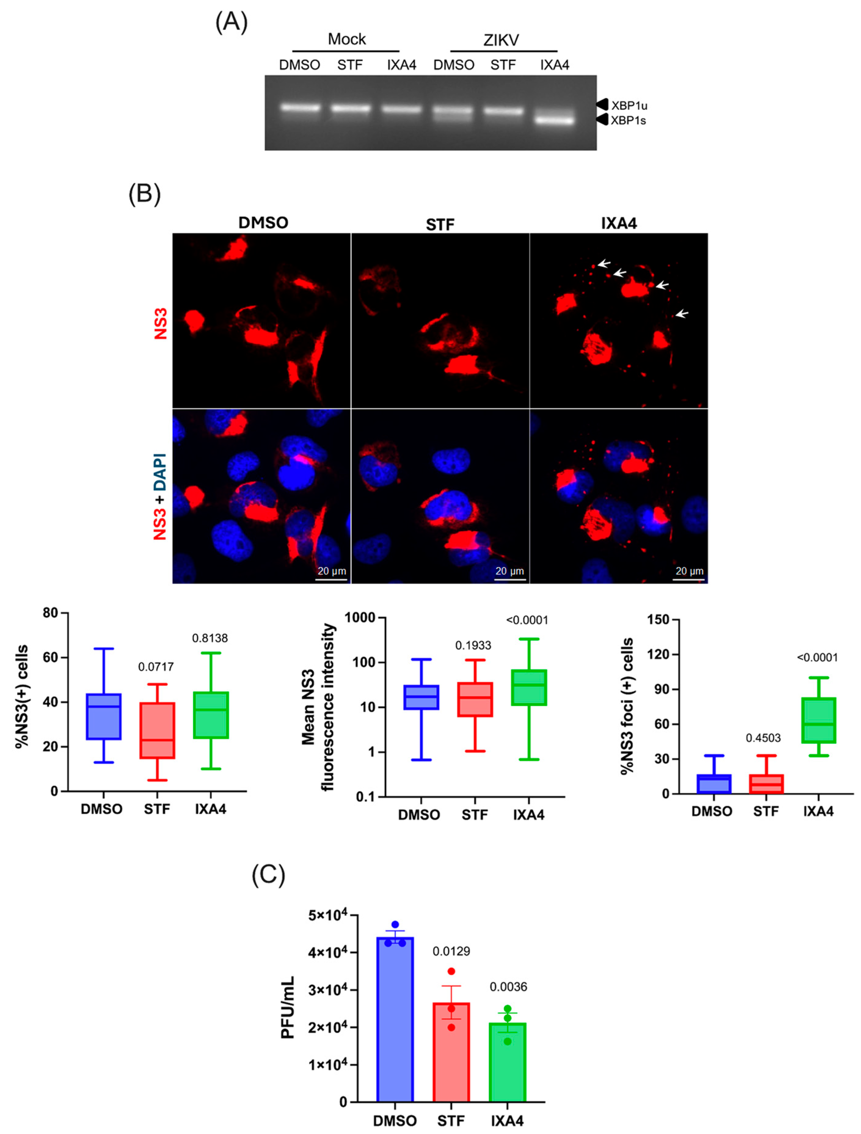 Viruses 17 01291 g003
