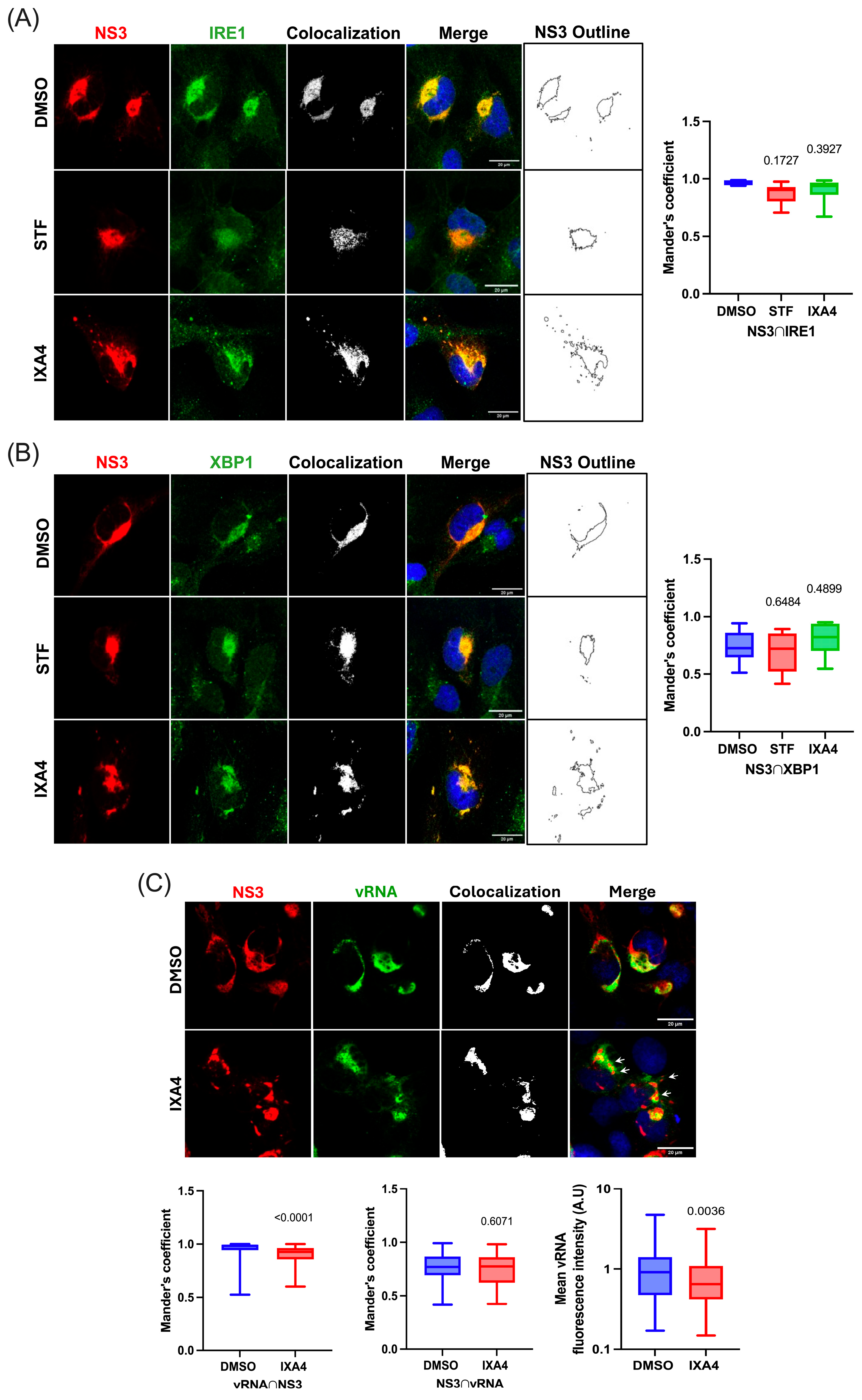 Viruses 17 01291 g004