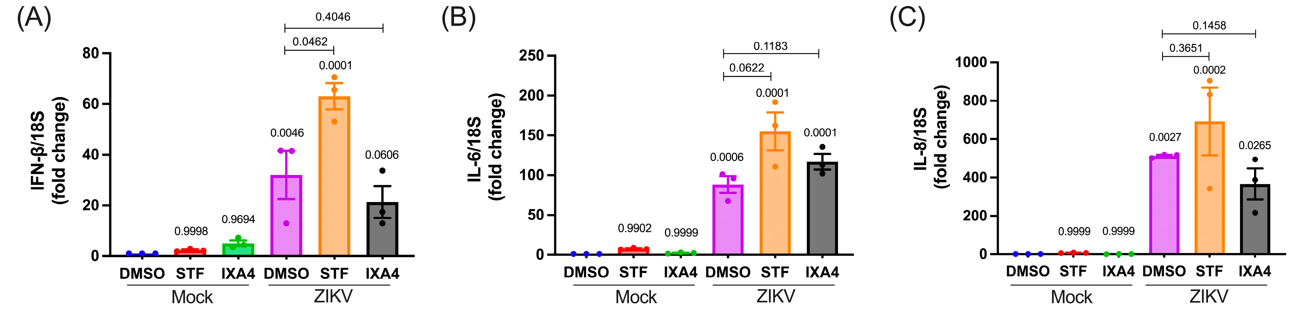Viruses 17 01291 g005