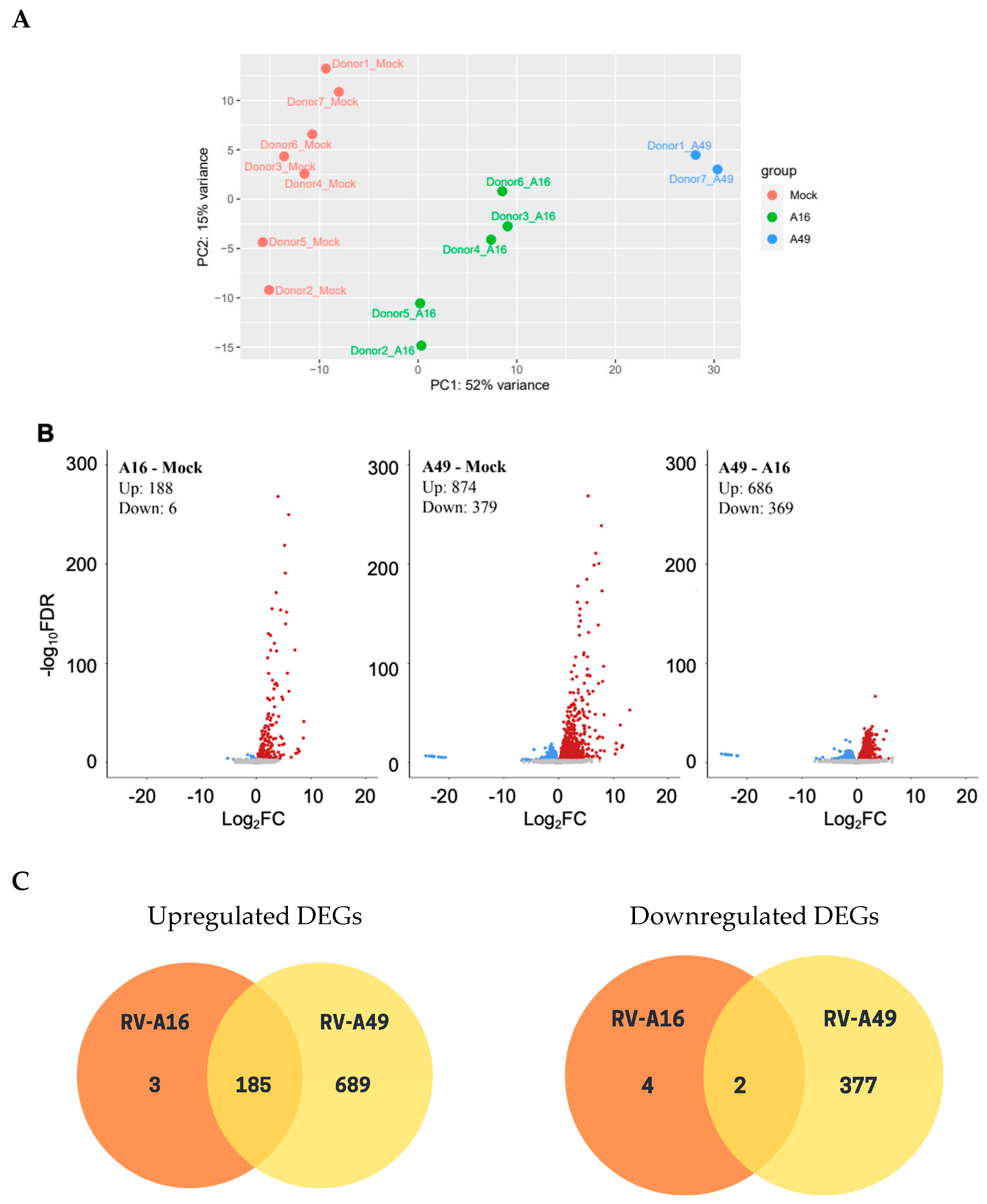 Viruses 17 01316 g003a