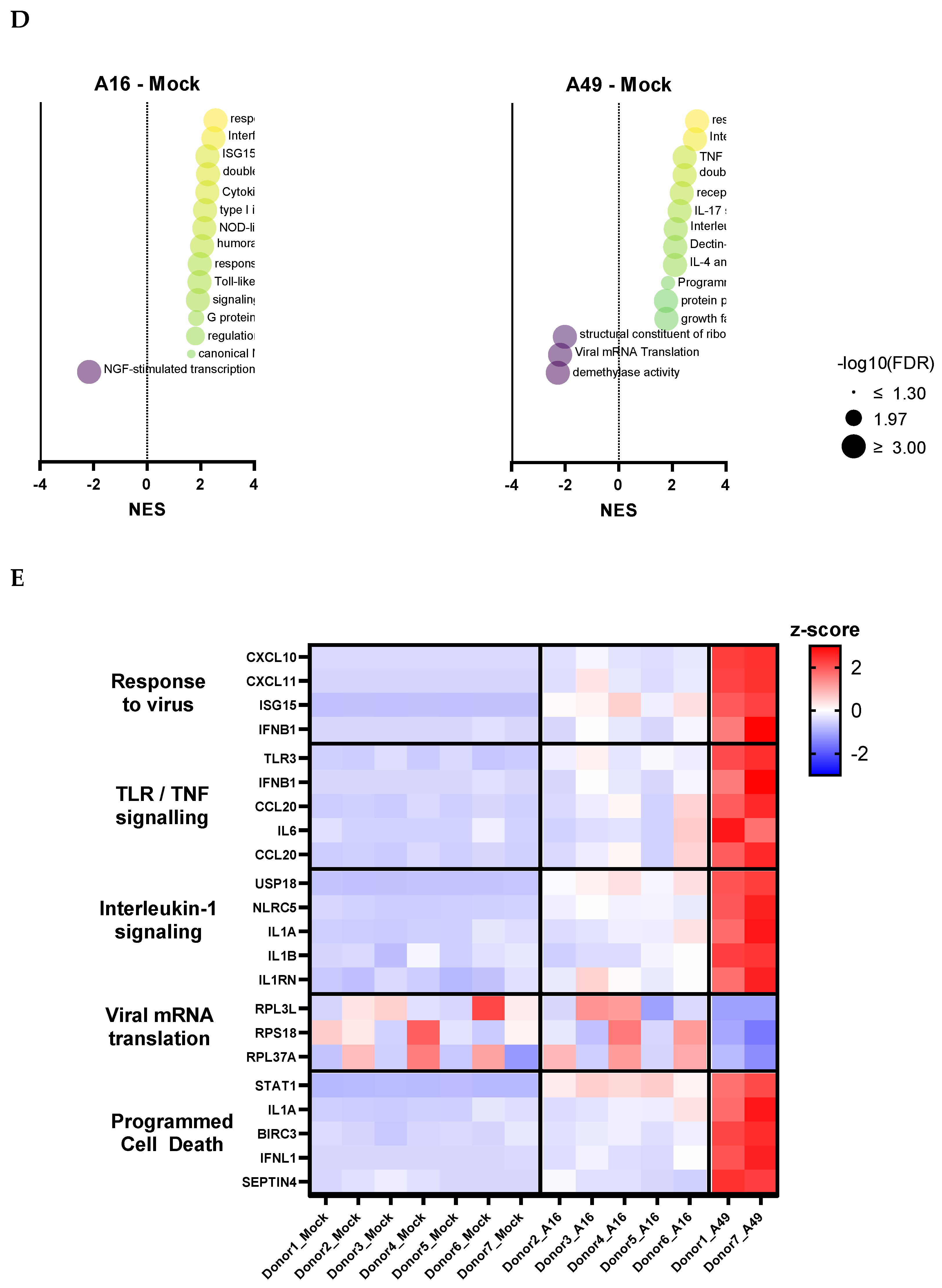 Viruses 17 01316 g003b
