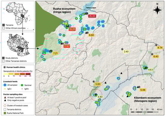 Viruses 17 01329 g001