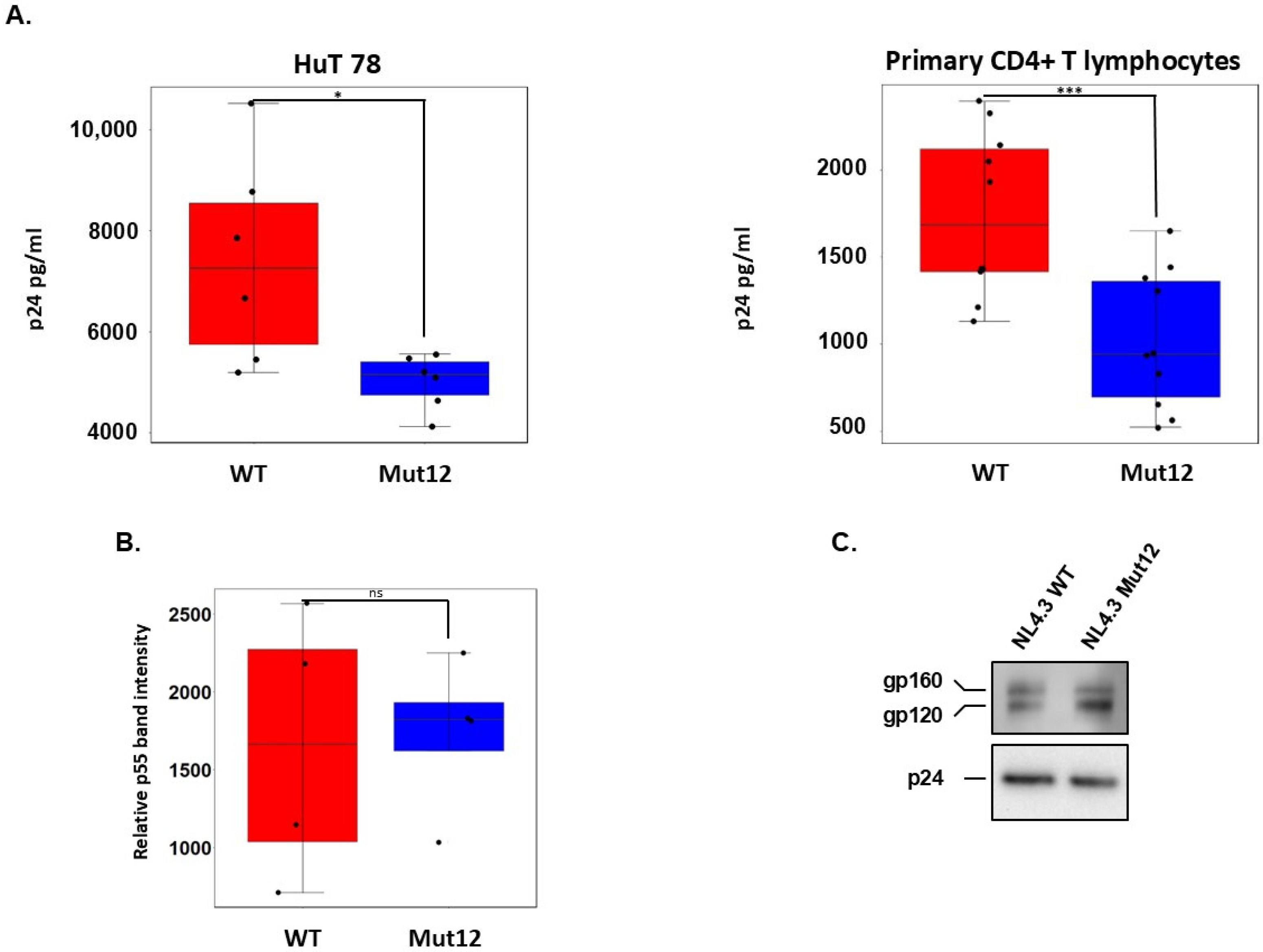 Viruses 17 01332 g002