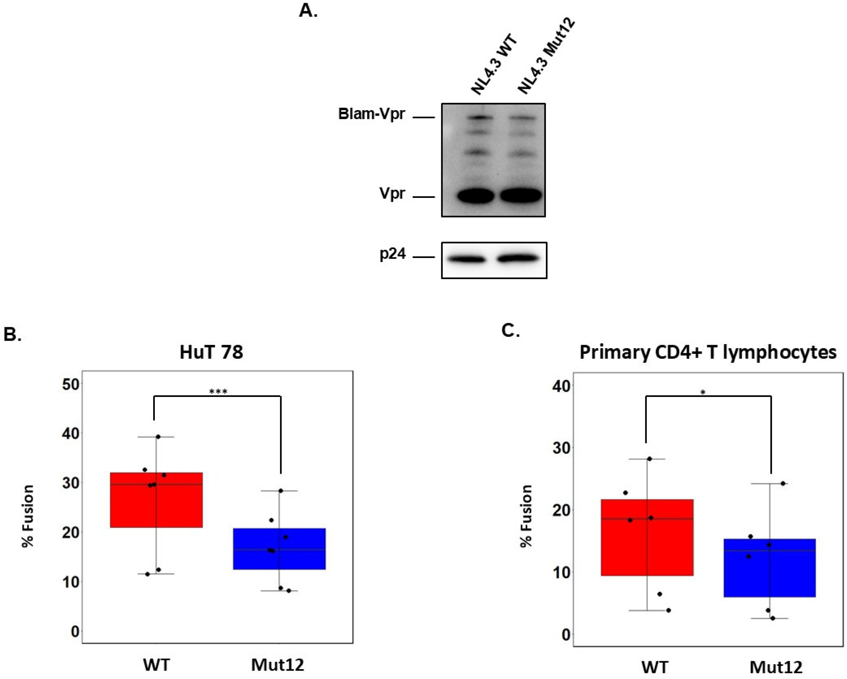 Viruses 17 01332 g003