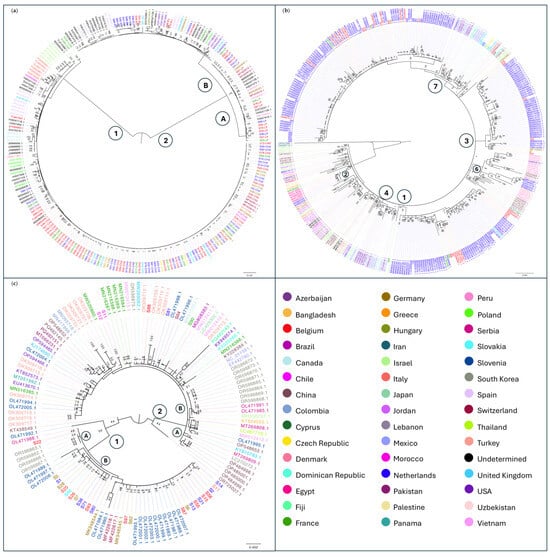 Viruses 17 01334 g005