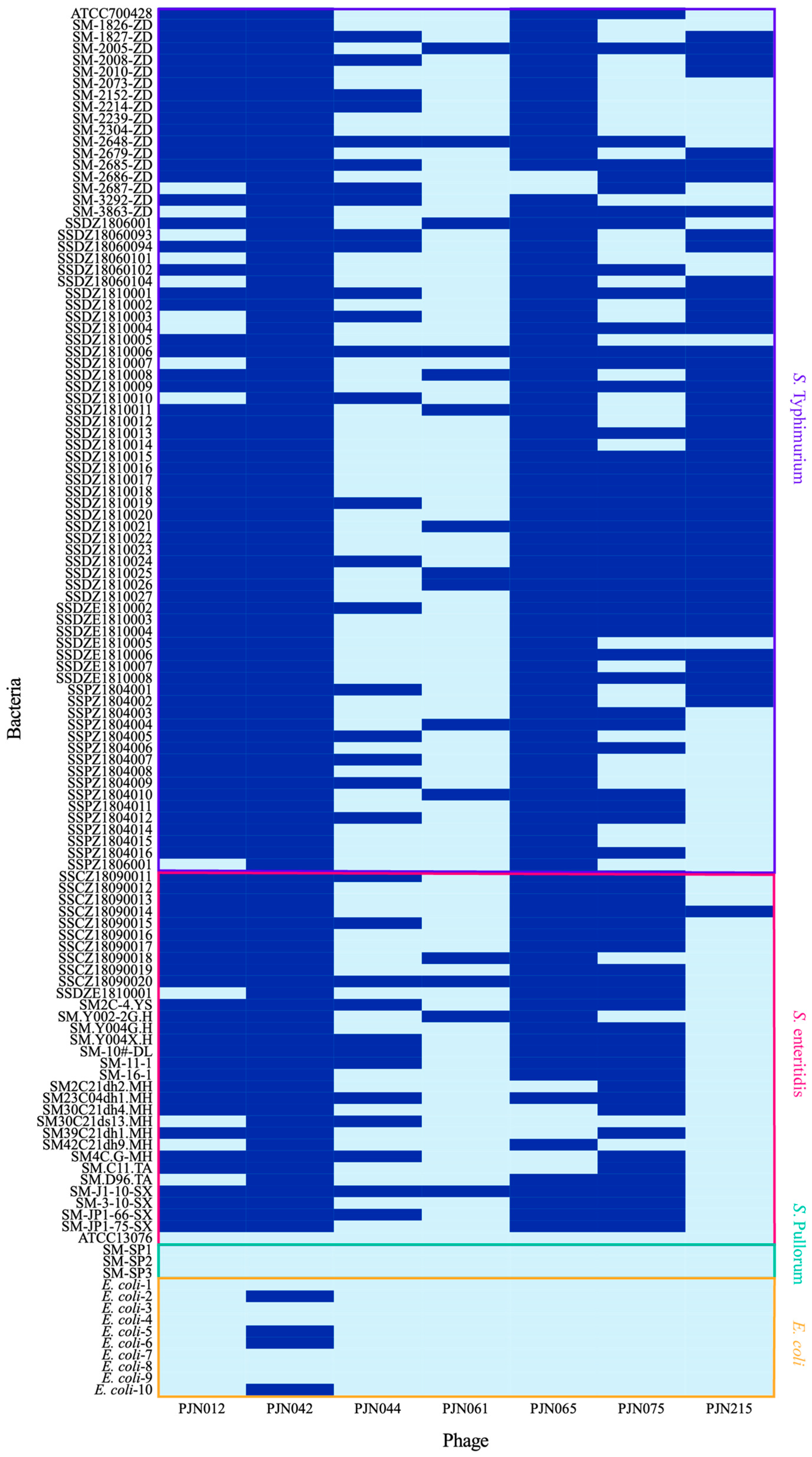 Viruses 17 01363 g002 Viruses 17 01363 g002