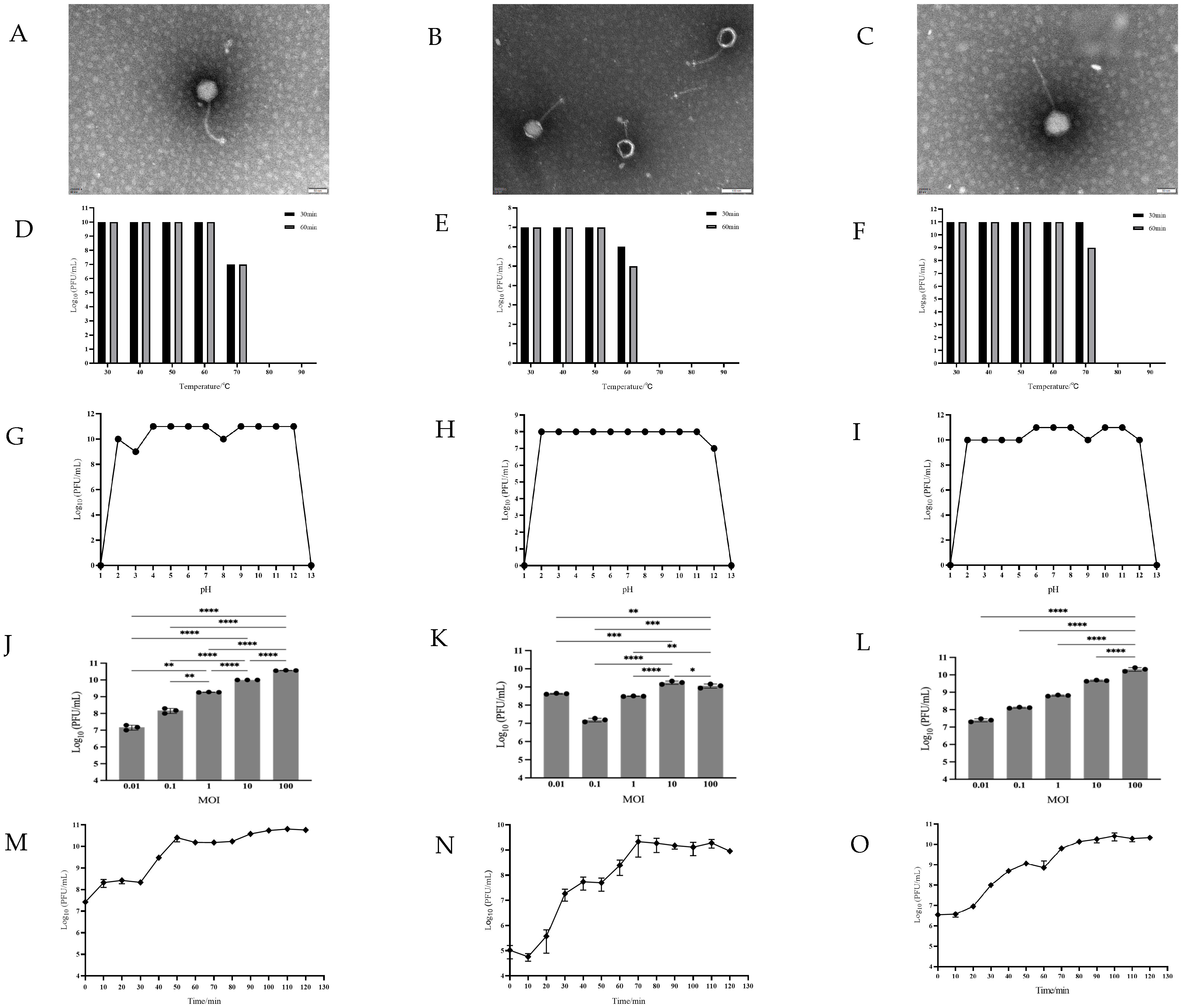 Viruses 17 01363 g003 Viruses 17 01363 g003