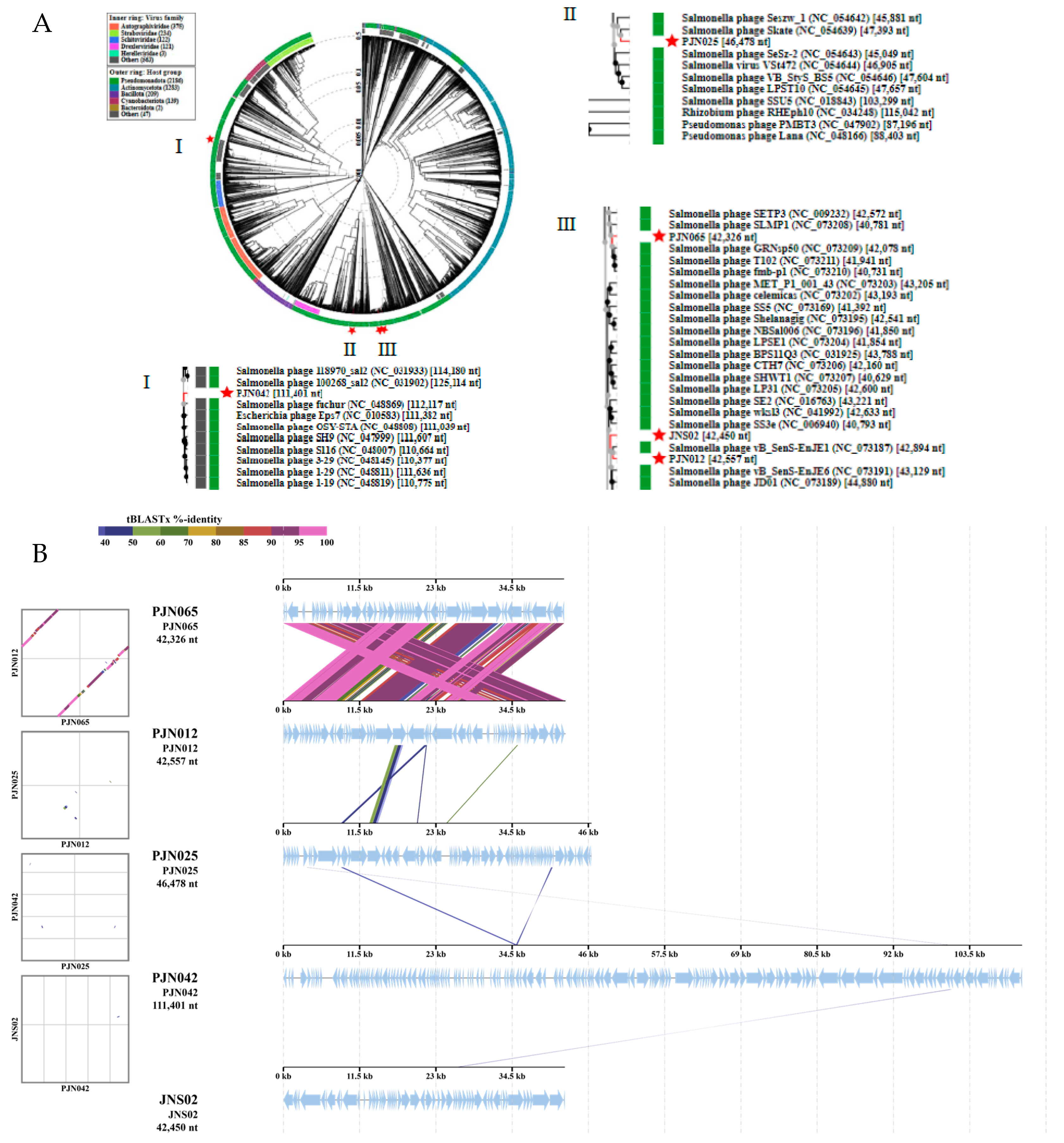 Viruses 17 01363 g004 Viruses 17 01363 g004