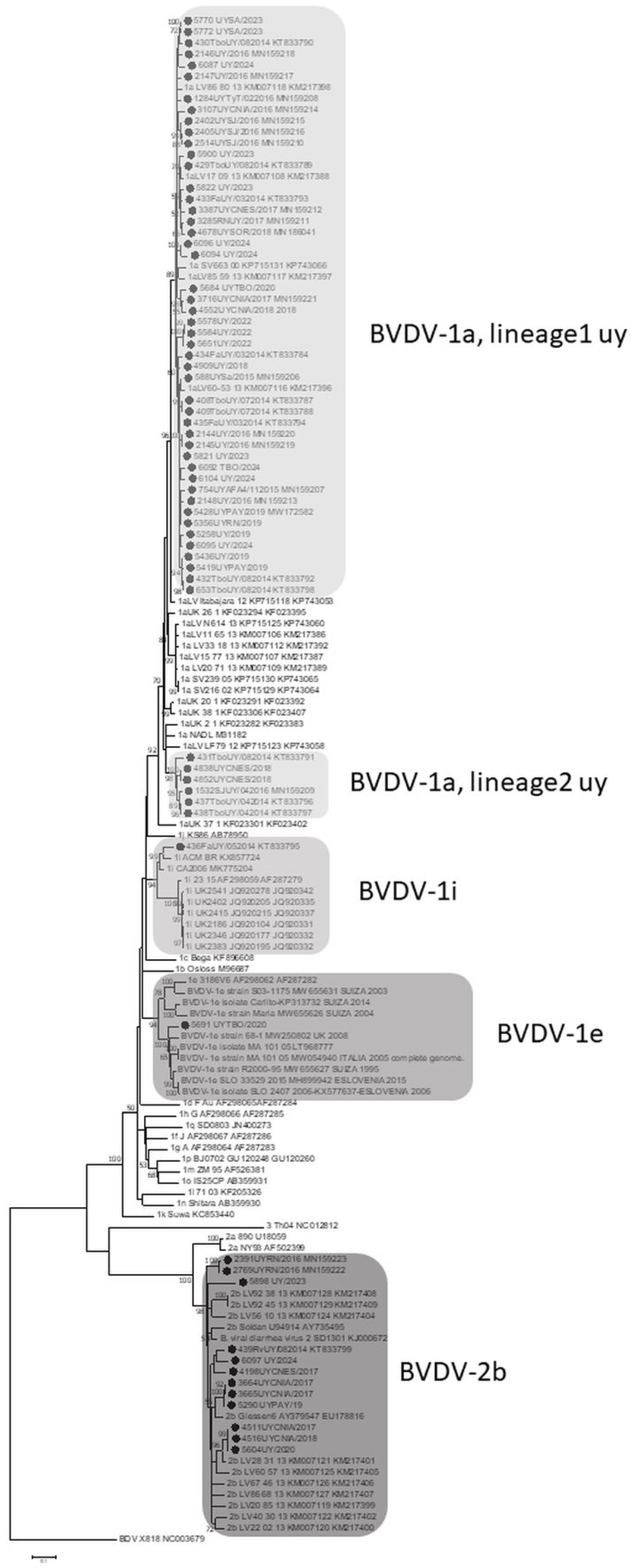 Viruses 17 01374 g001 Viruses 17 01374 g001