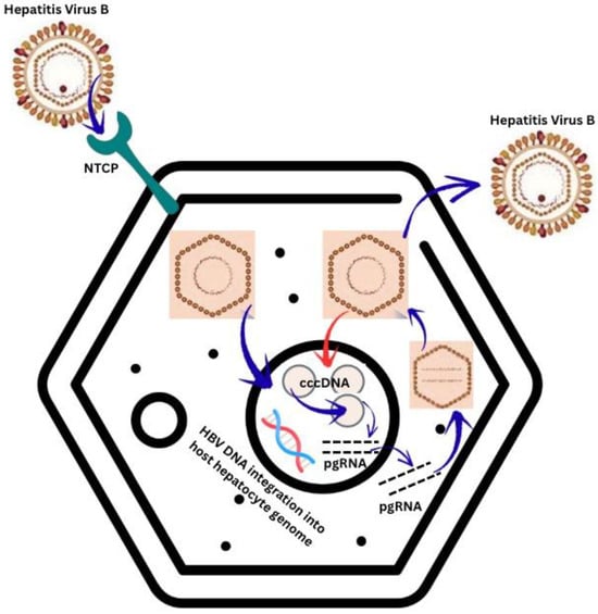Viruses 17 01395 g001