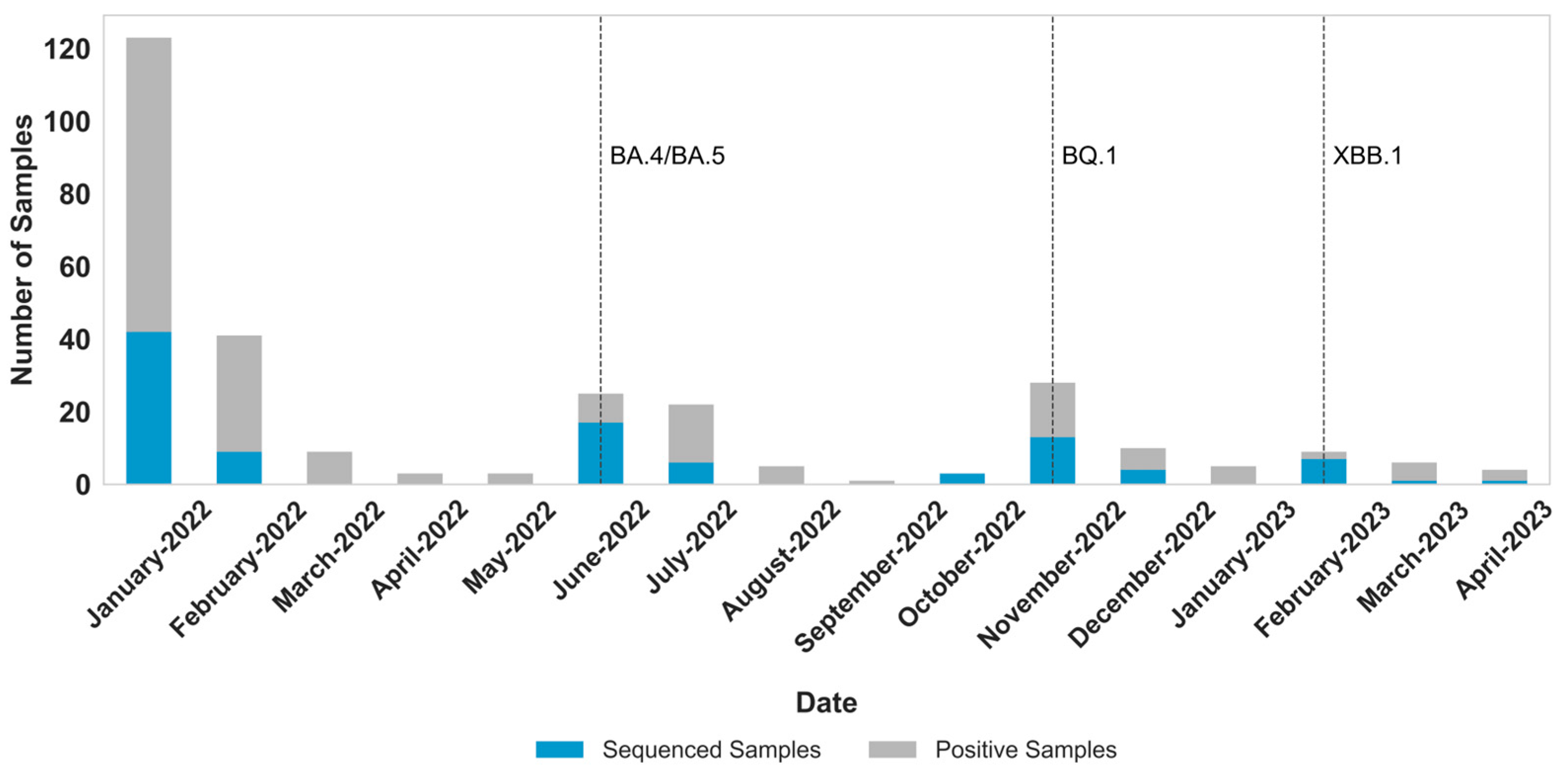 Viruses 17 01421 g003
