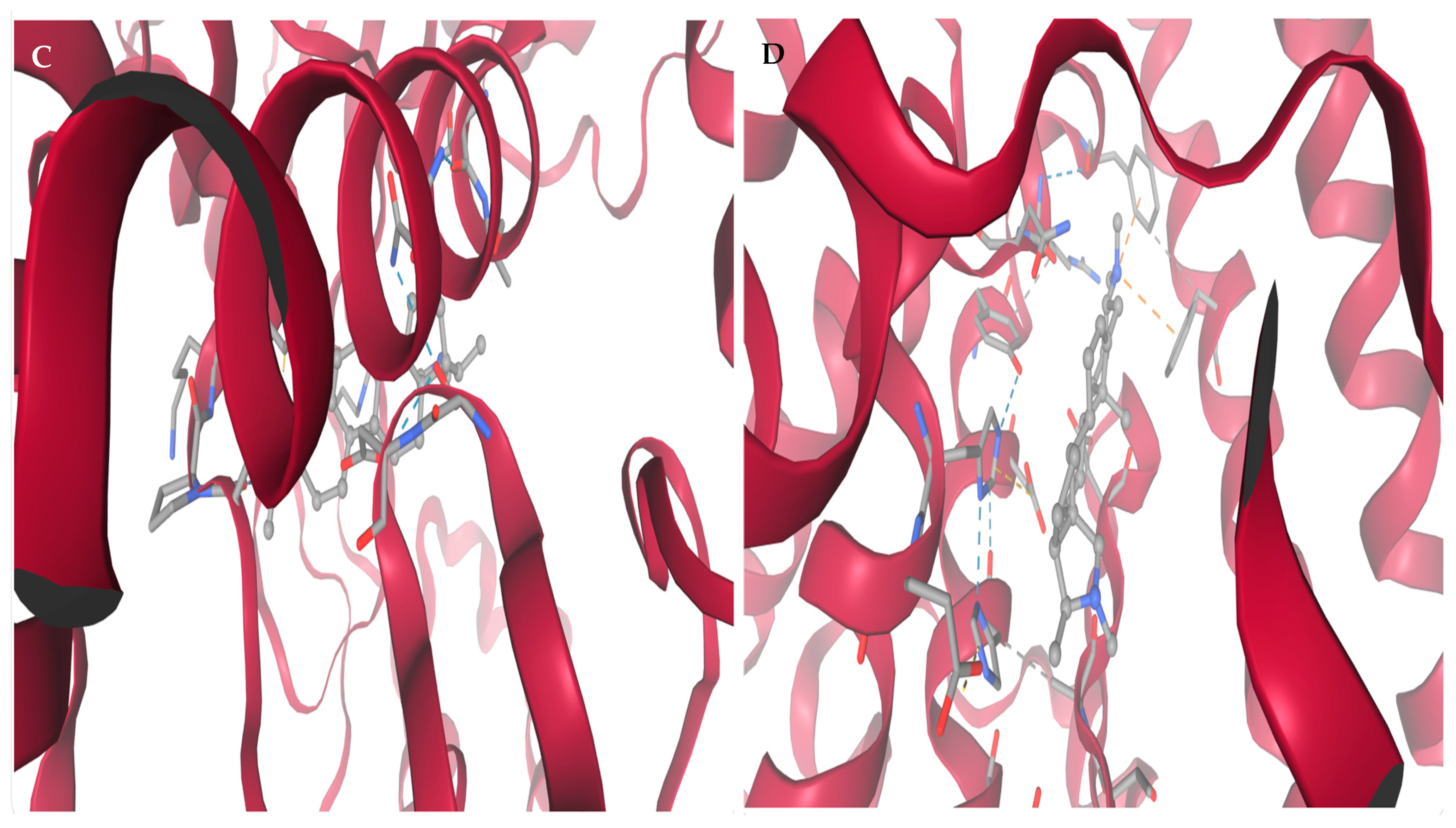 Viruses 17 01435 g004b Viruses 17 01435 g004b