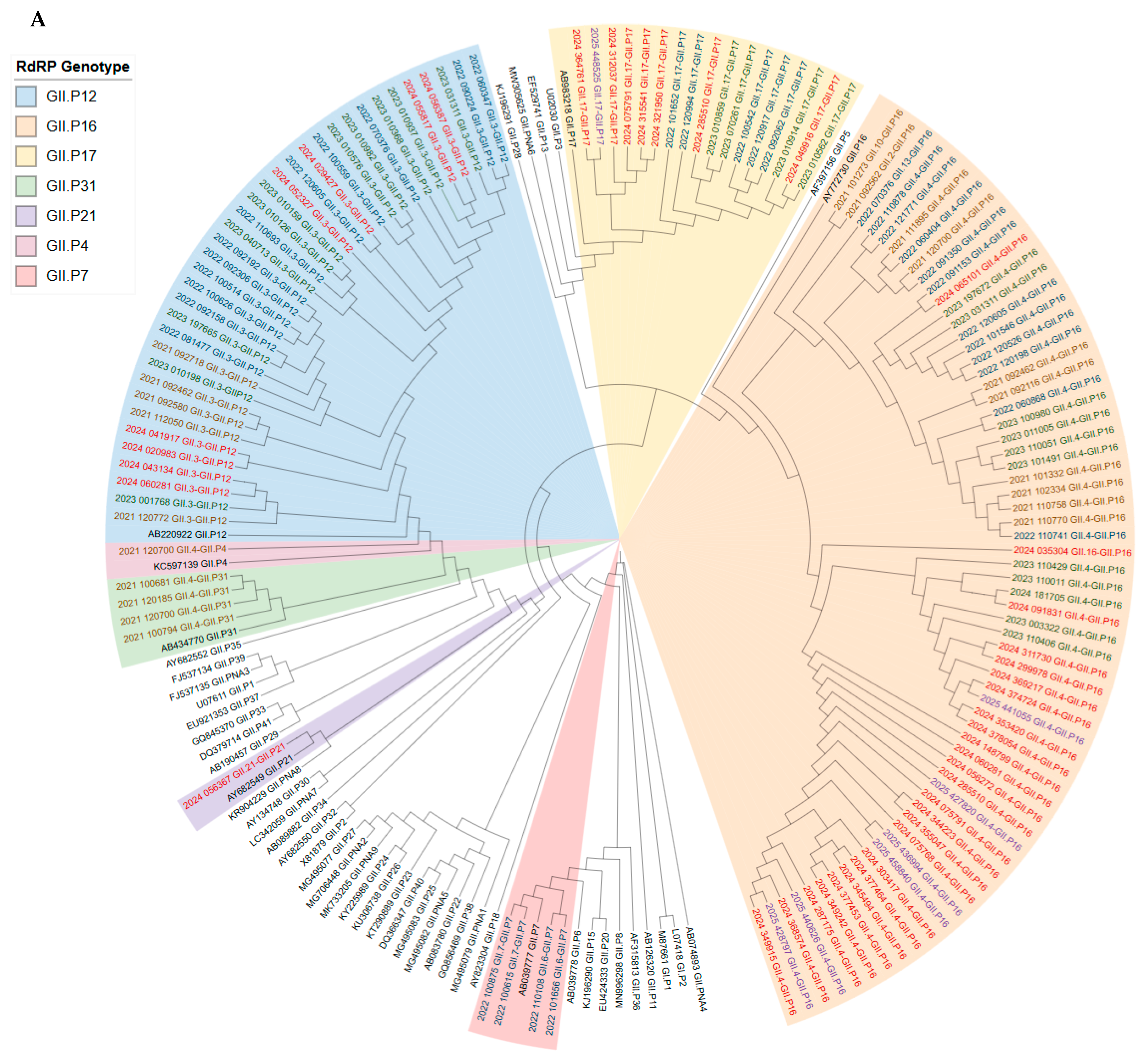 Viruses 17 01440 g006a Viruses 17 01440 g006a