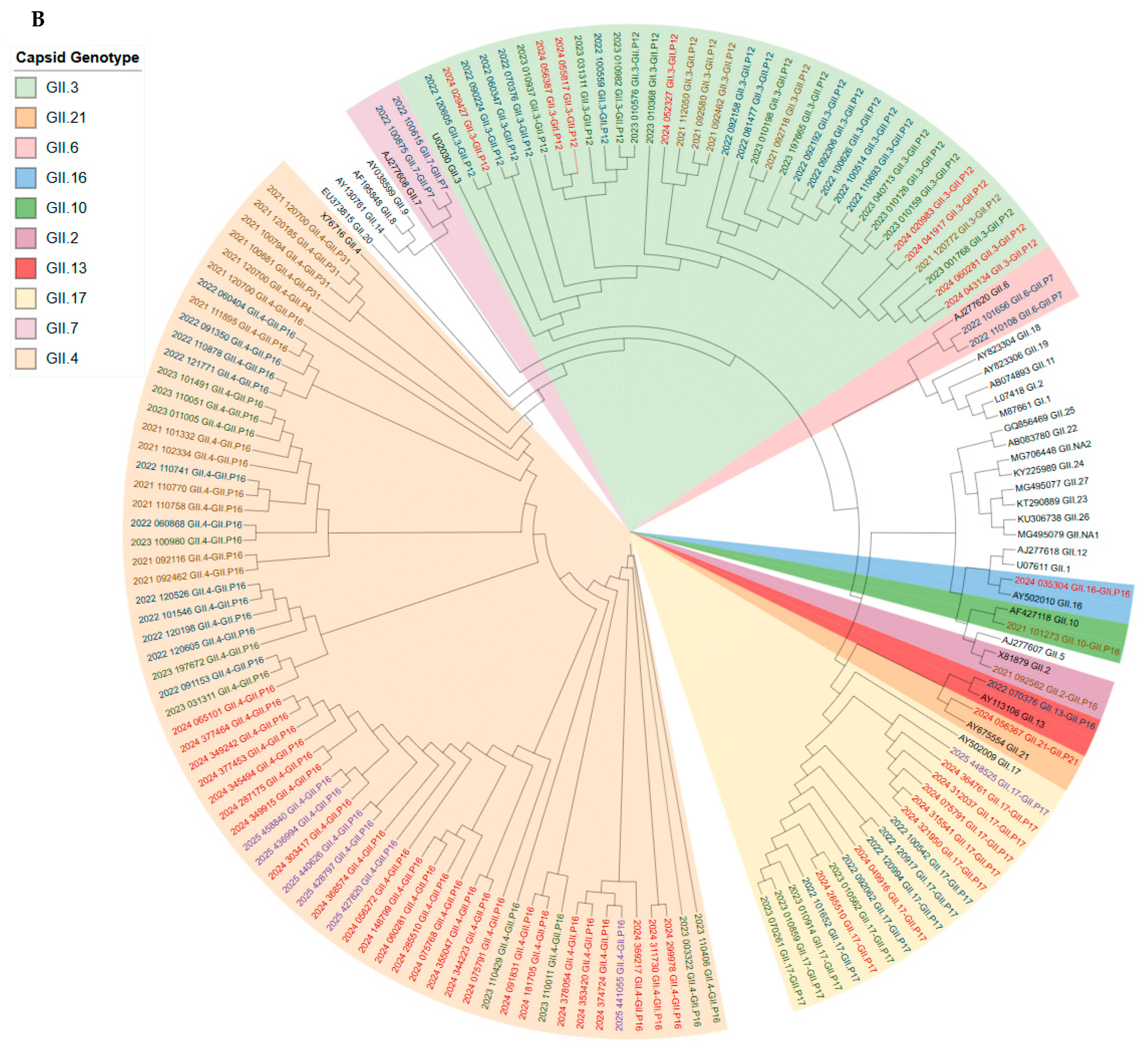 Viruses 17 01440 g006b Viruses 17 01440 g006b