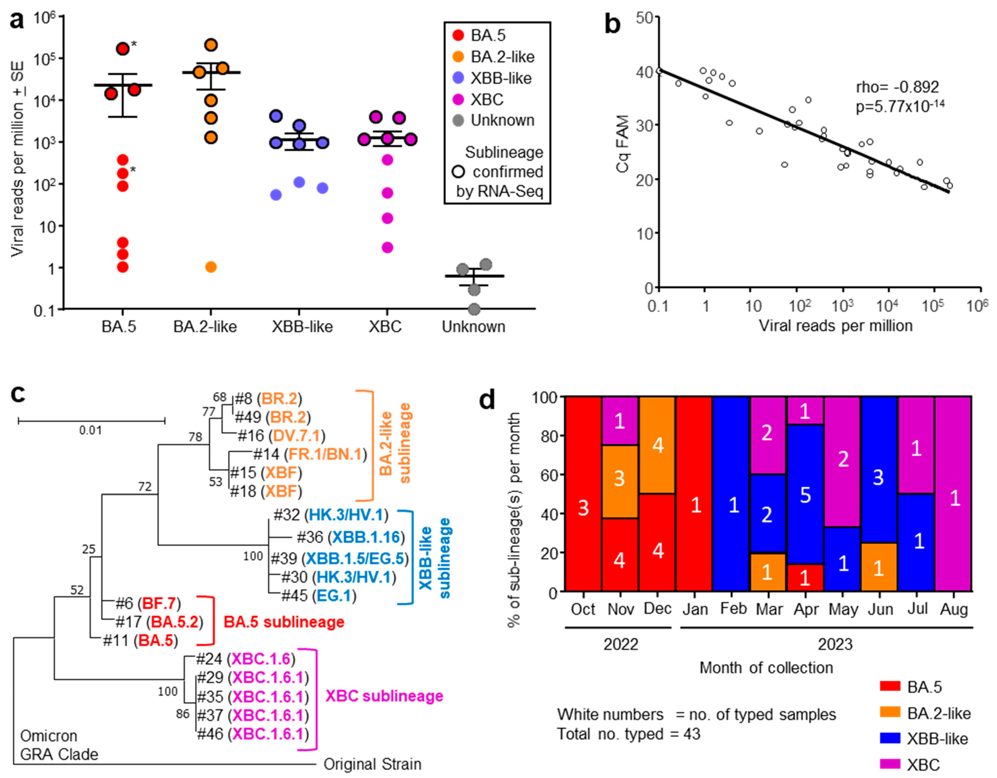 Viruses 17 01631 g001 Viruses 17 01631 g001