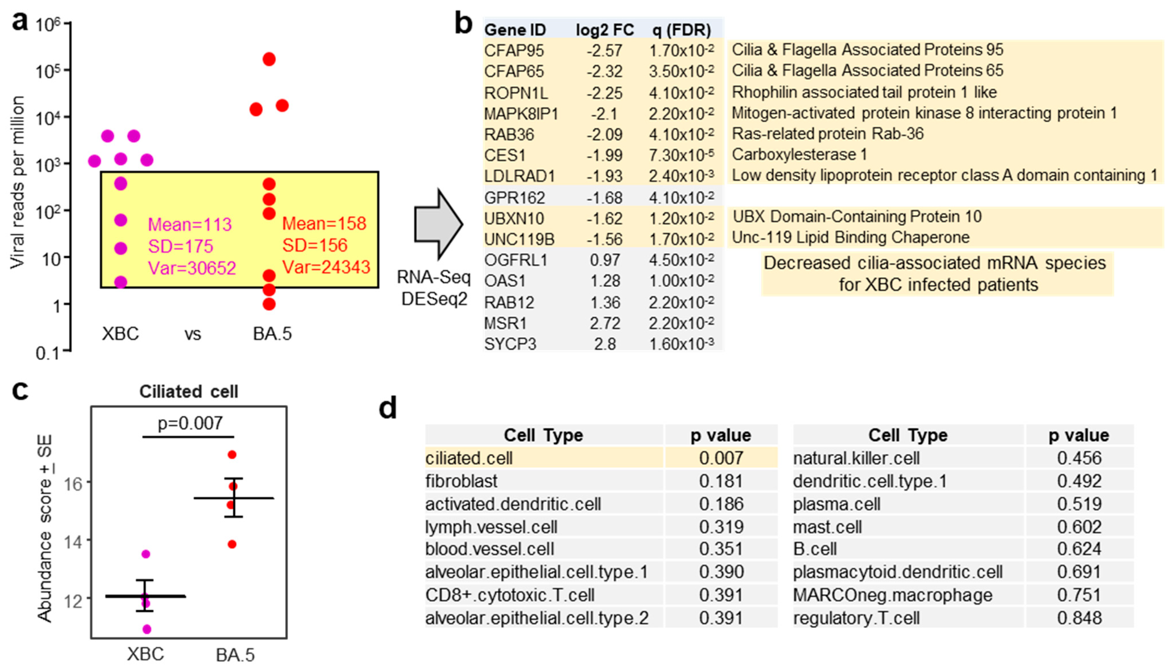 Viruses 17 01631 g003 Viruses 17 01631 g003