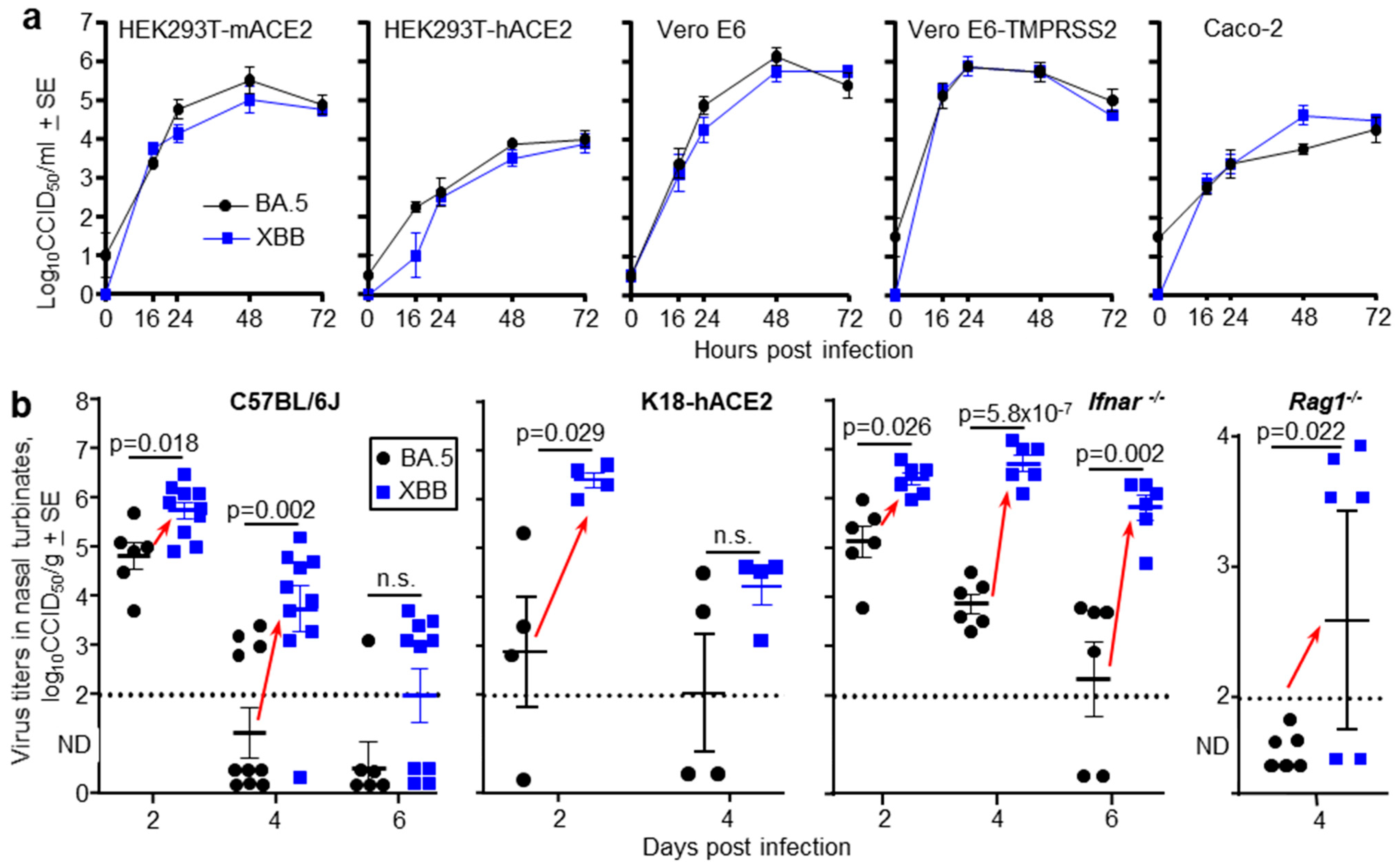 Viruses 17 01631 g004 Viruses 17 01631 g004