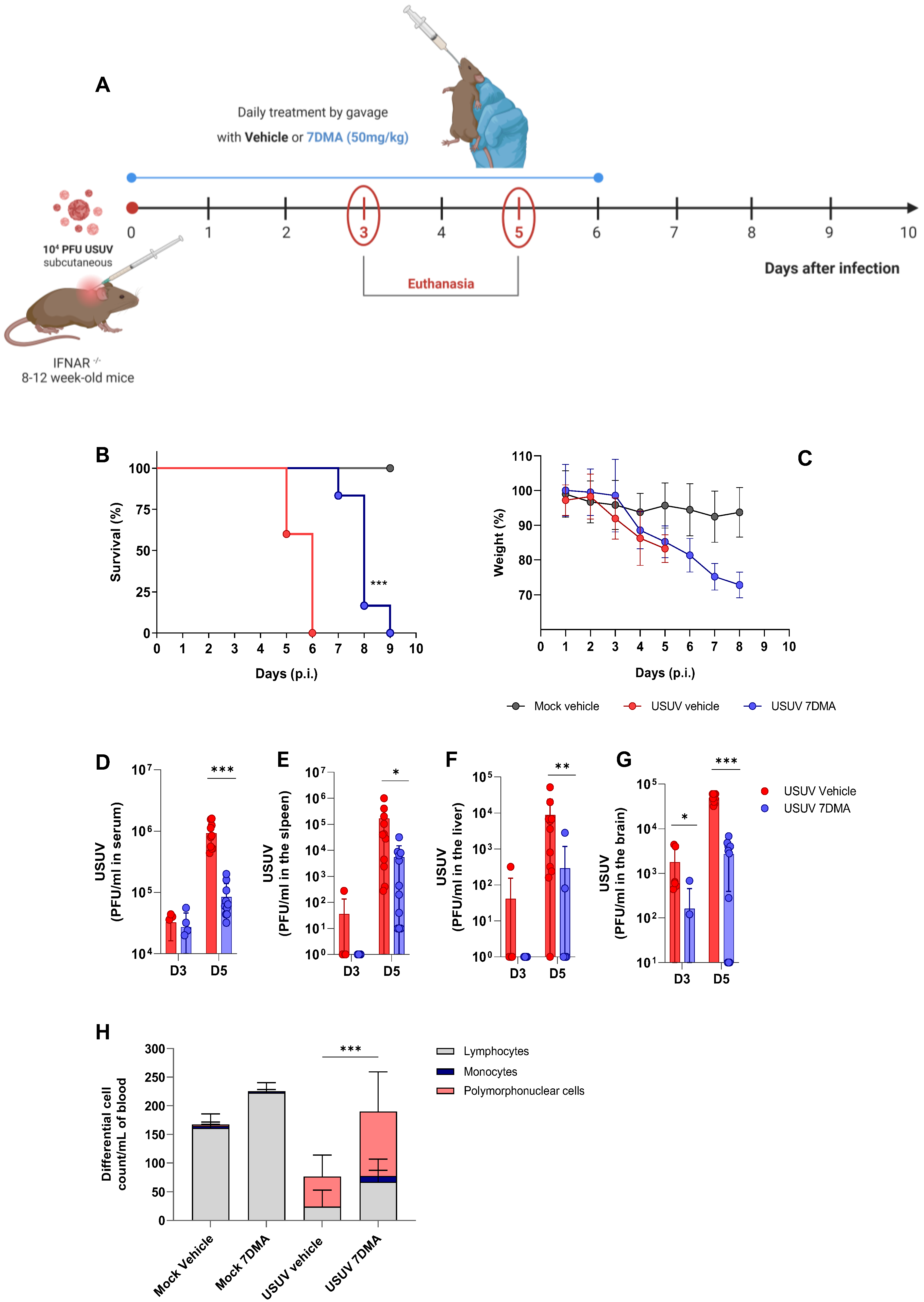 Viruses 17 01639 g002
