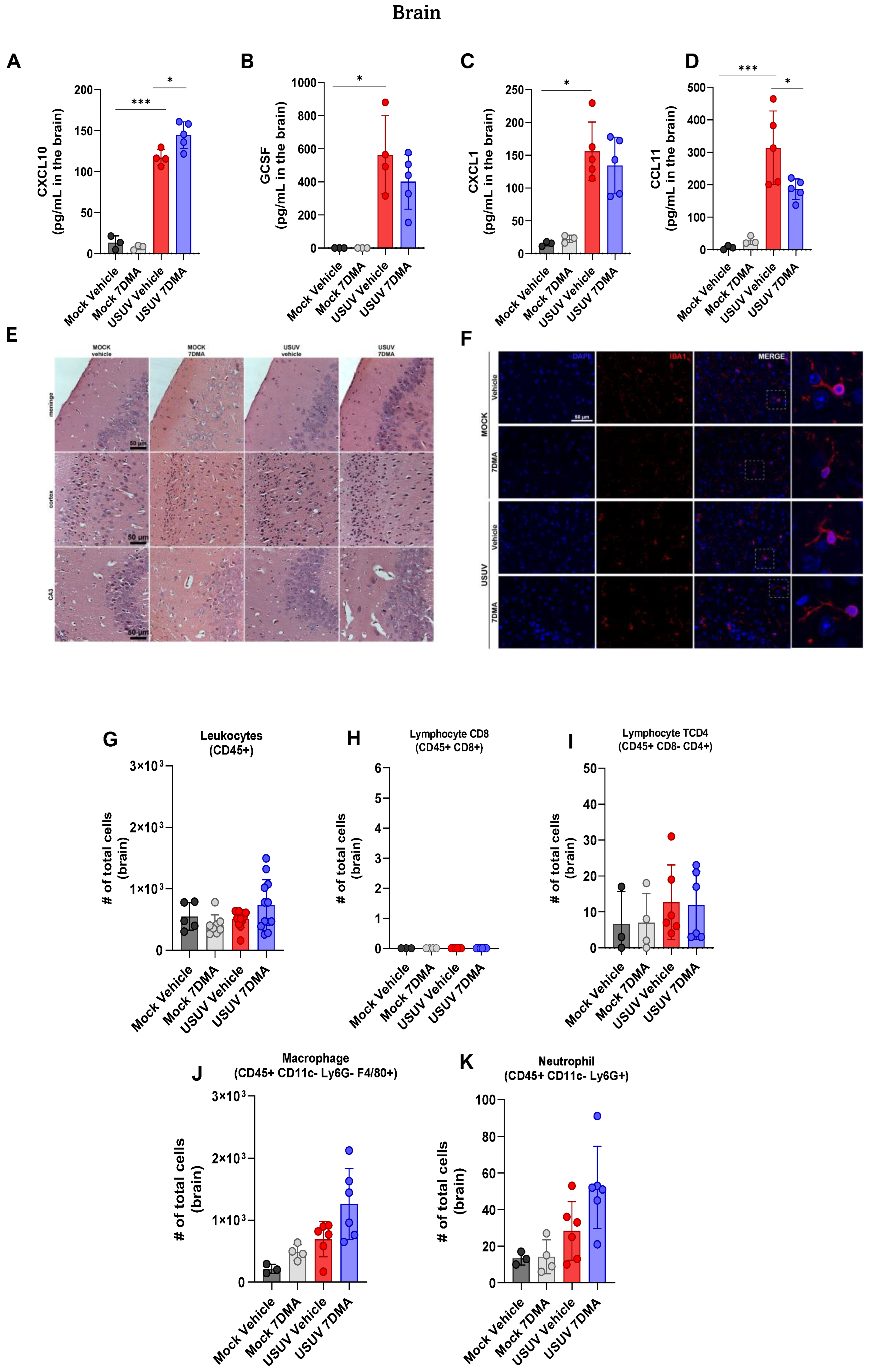 Viruses 17 01639 g005