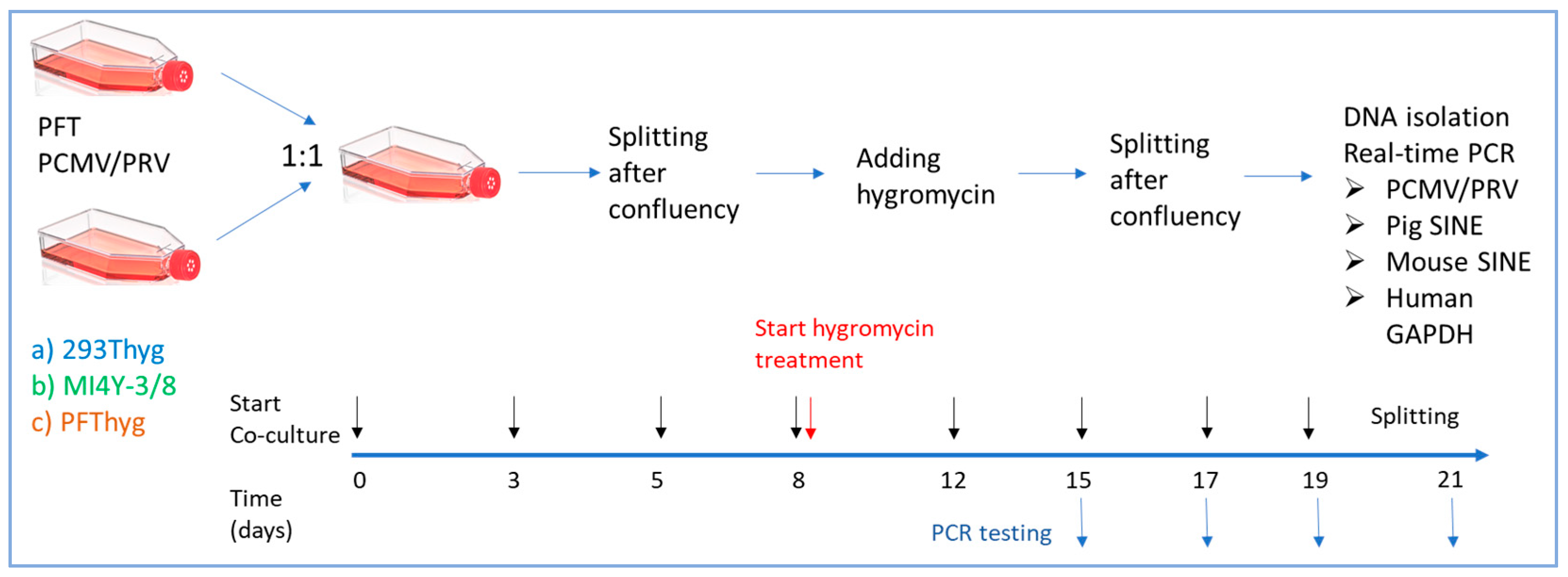 Viruses 18 00021 g001 Viruses 18 00021 g001