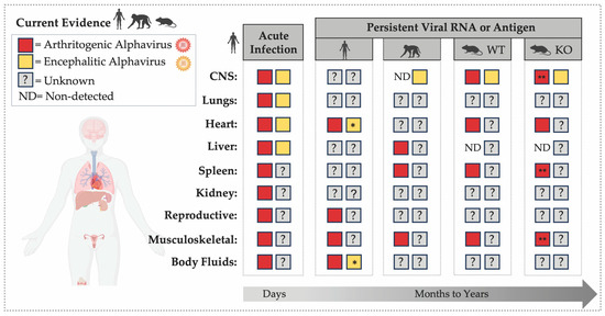 Viruses 18 00030 g001