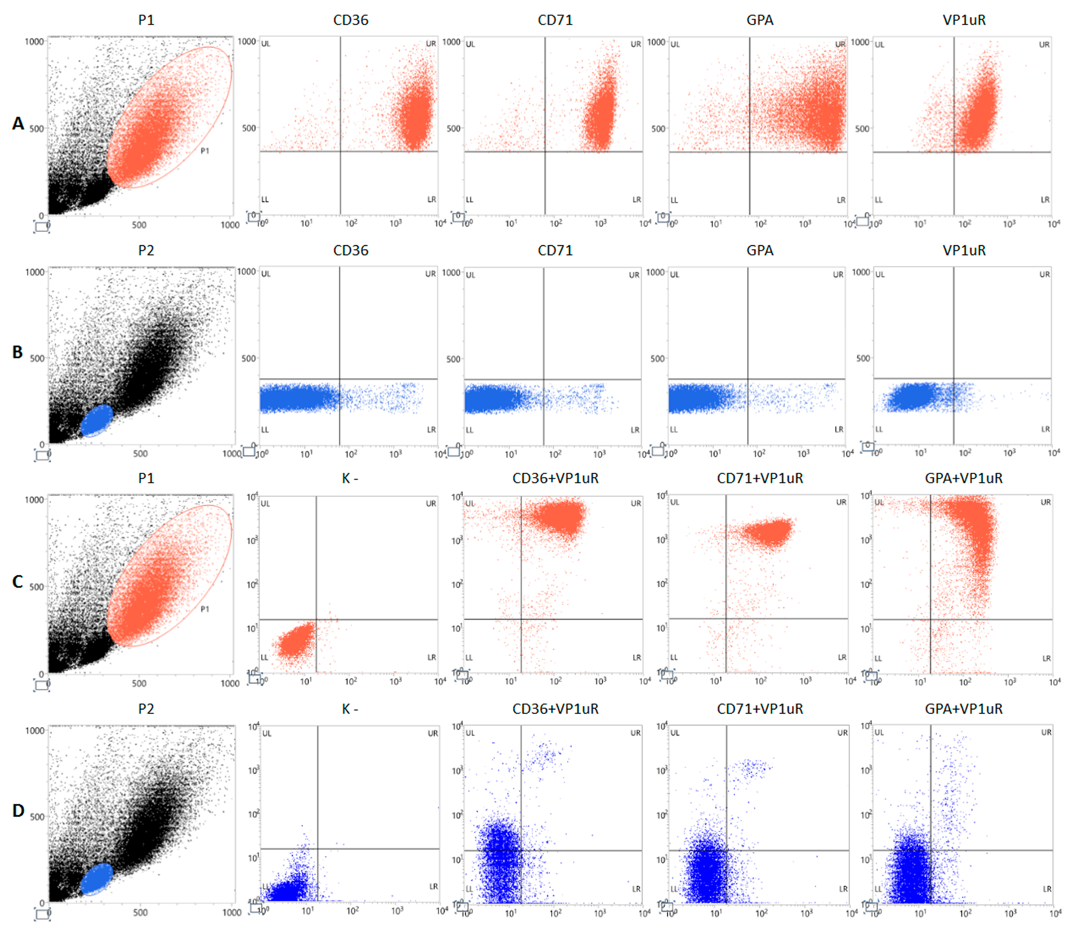 Viruses 18 00039 g002
