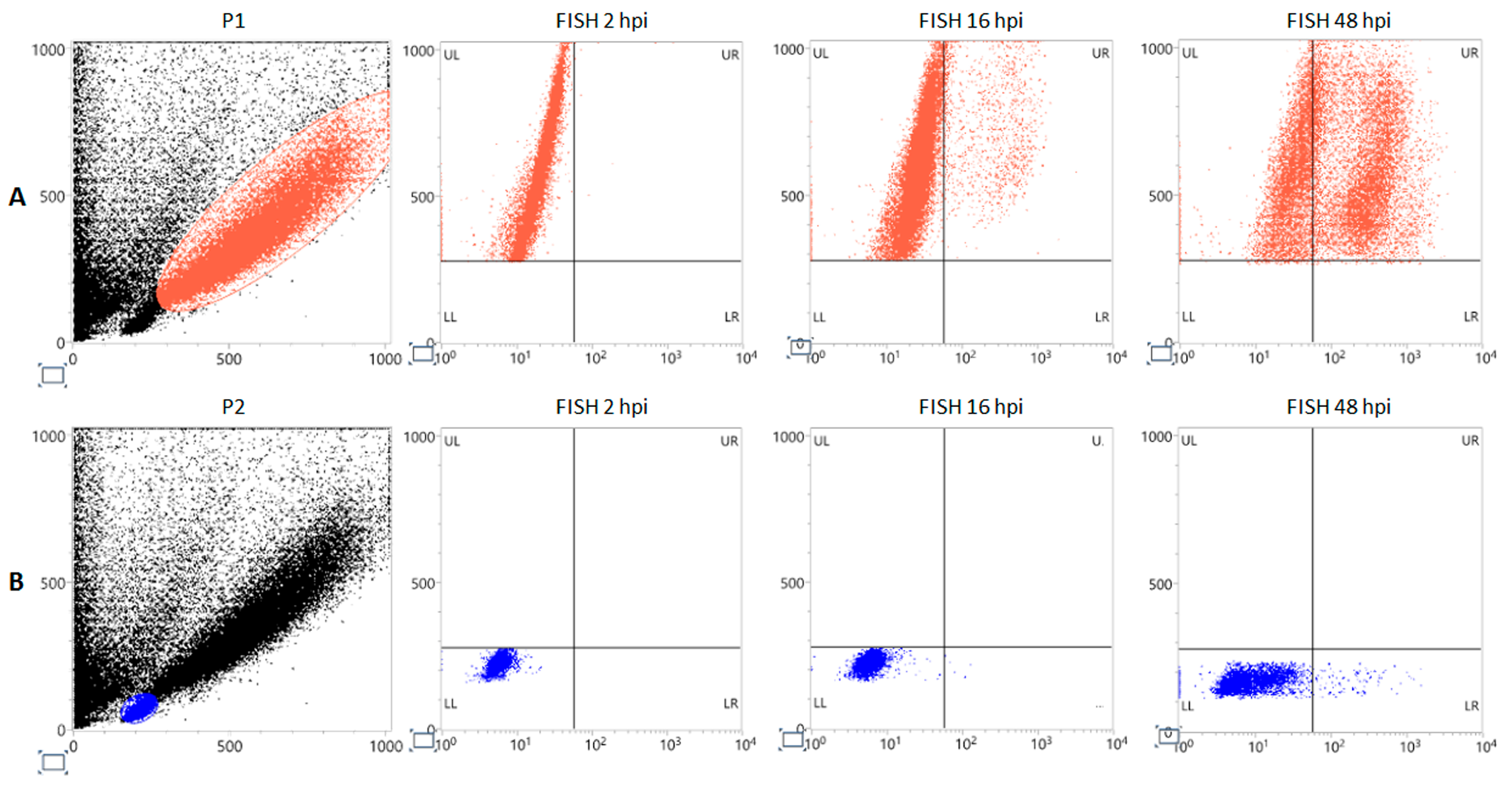Viruses 18 00039 g003