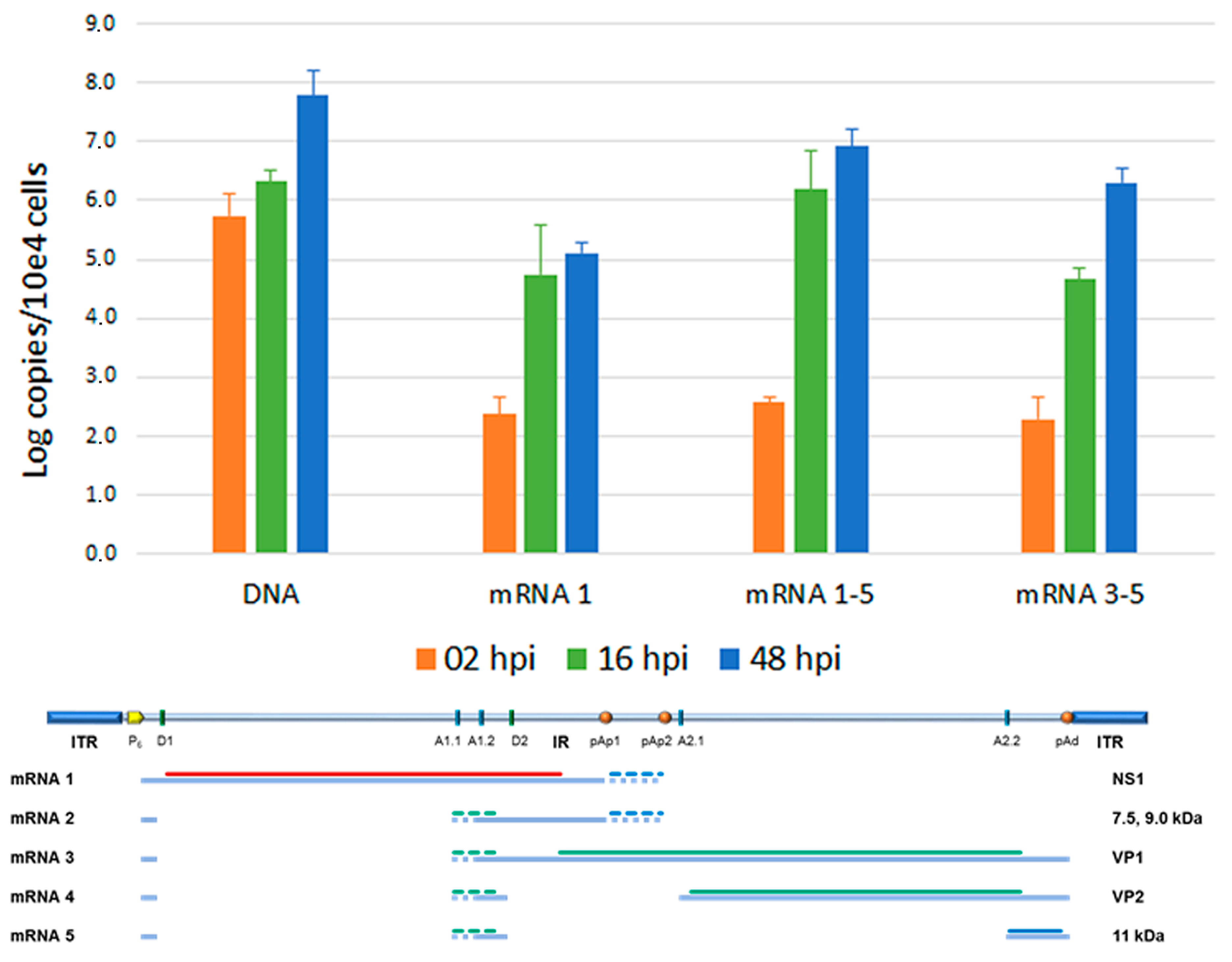 Viruses 18 00039 g004