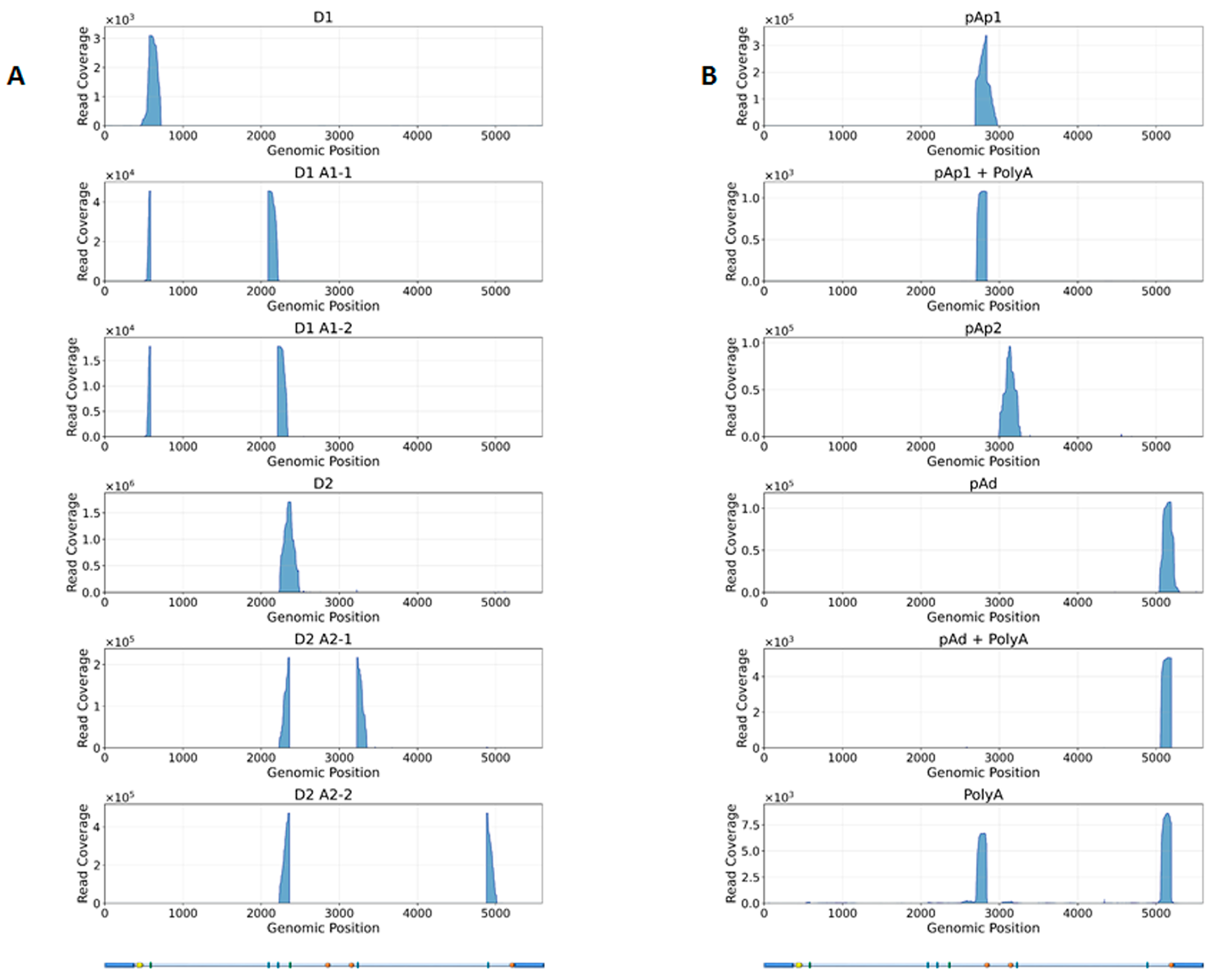 Viruses 18 00039 g007