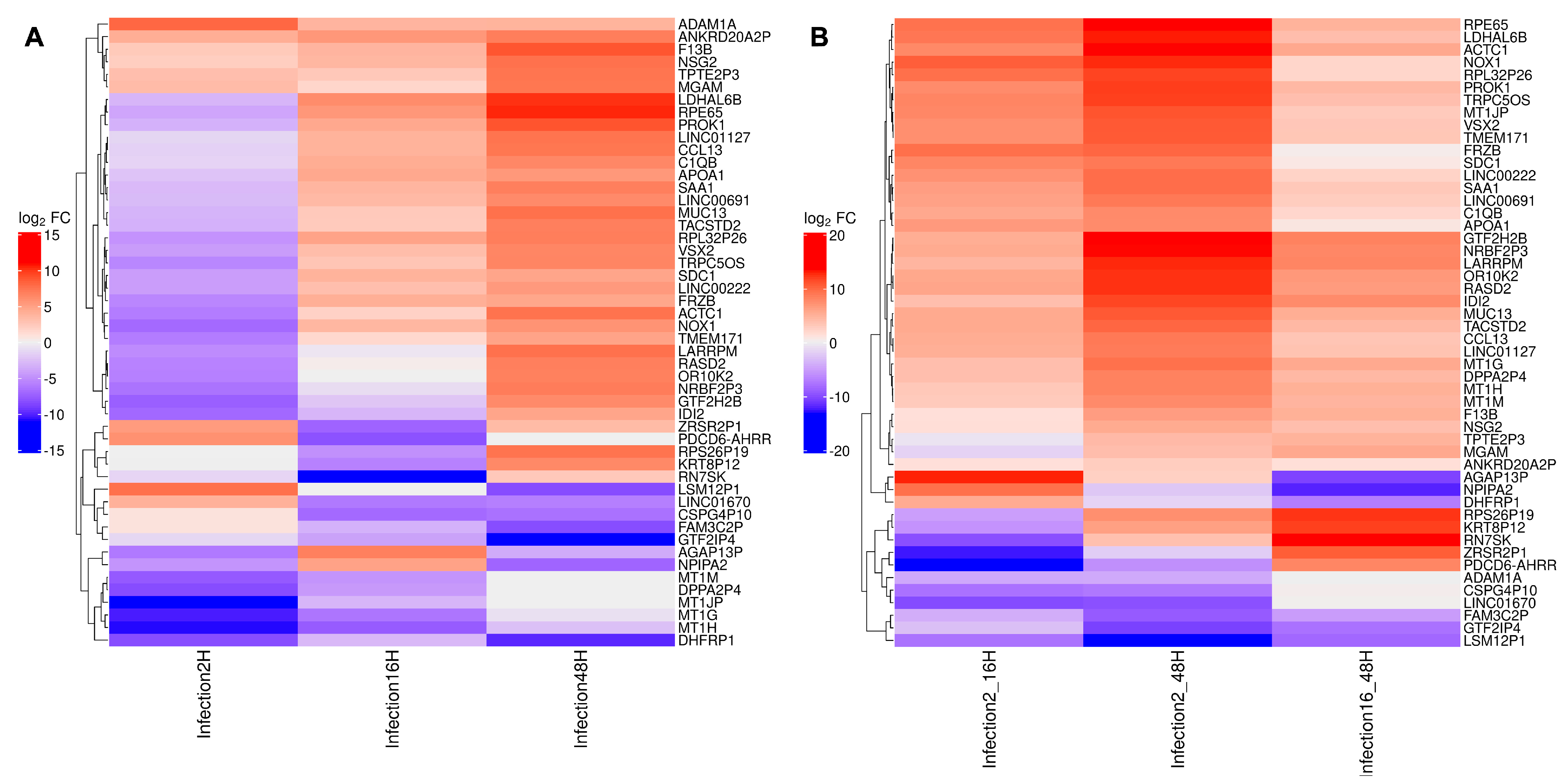 Viruses 18 00039 g012