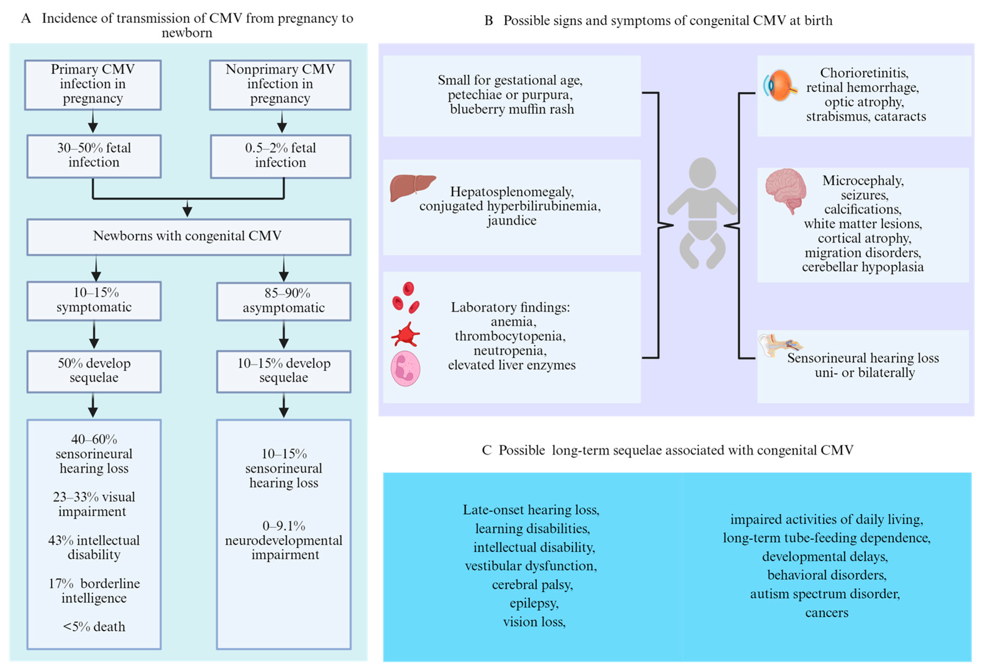 Viruses 18 00063 g002