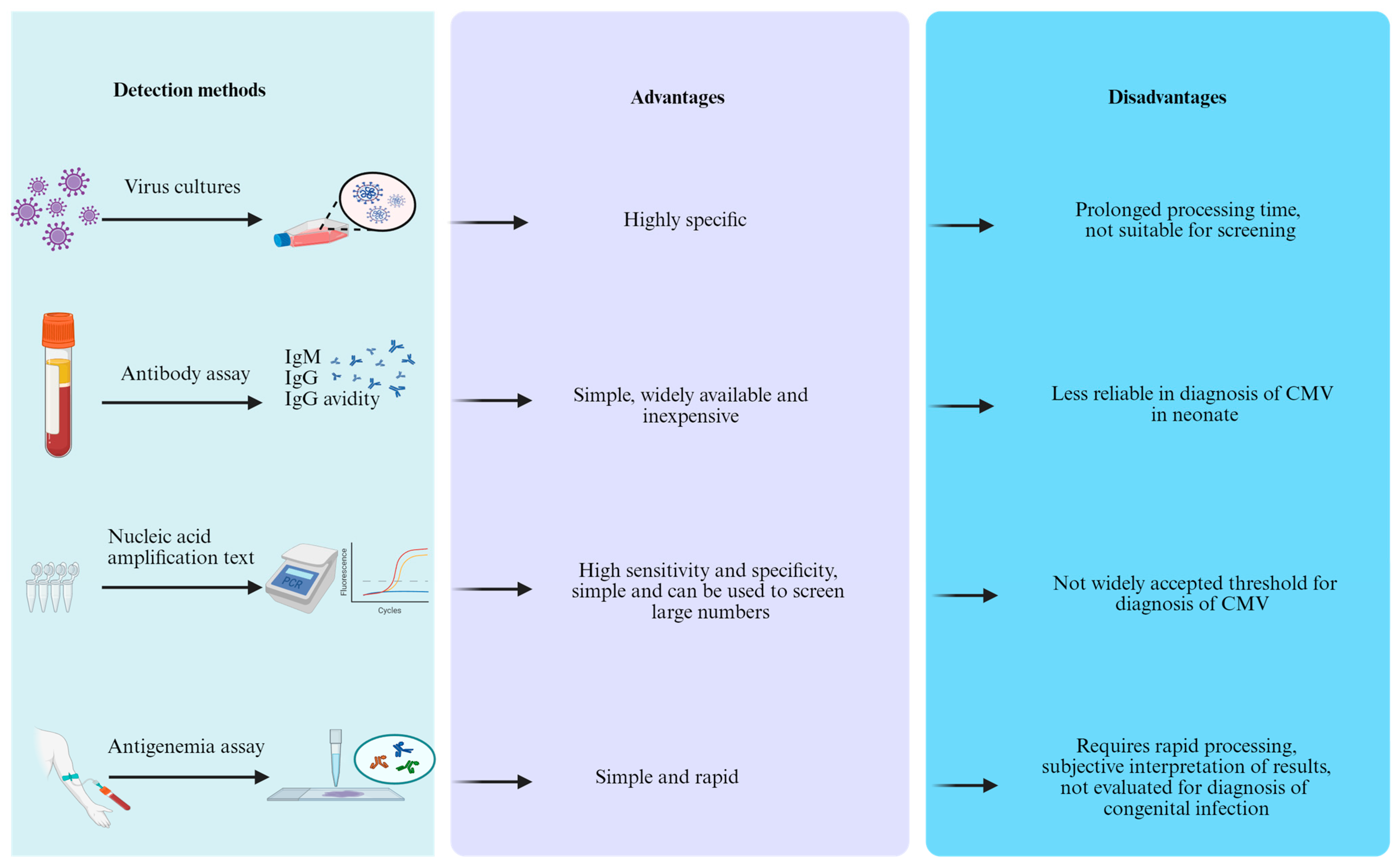 Viruses 18 00063 g003