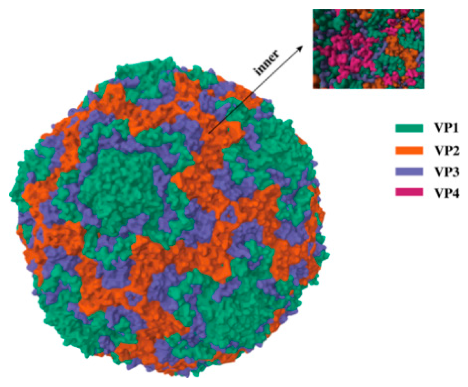 Viruses 18 00073 g001