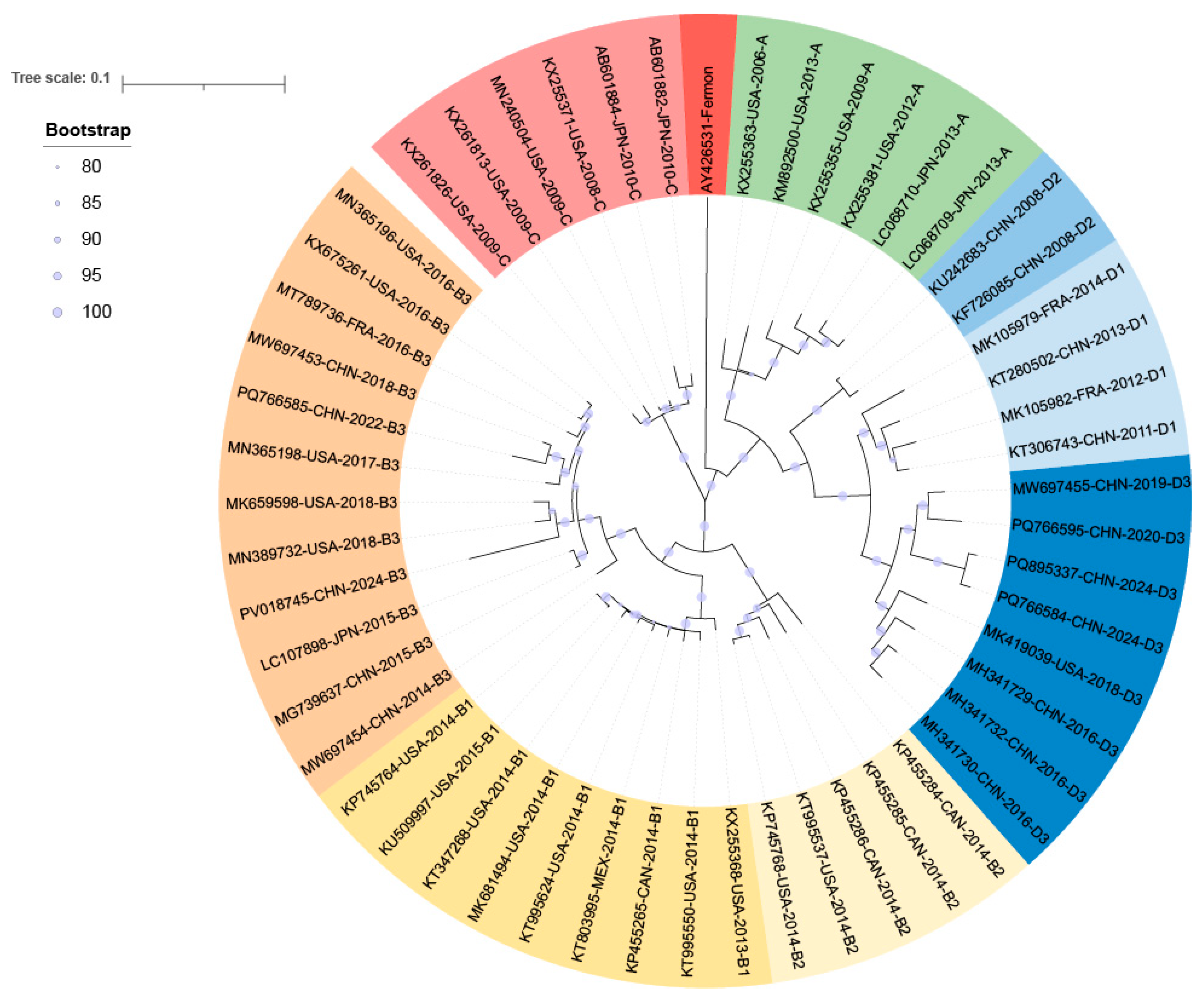 Viruses 18 00073 g003