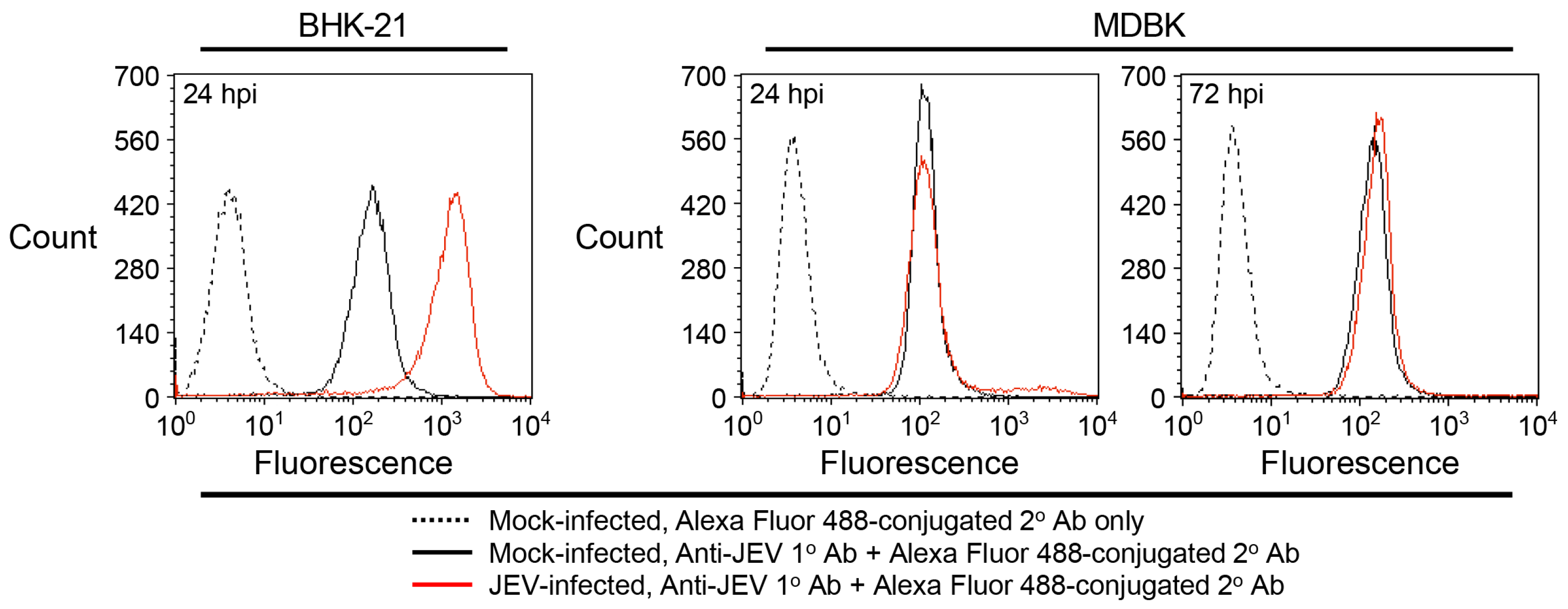Viruses 18 00166 g003 Viruses 18 00166 g003