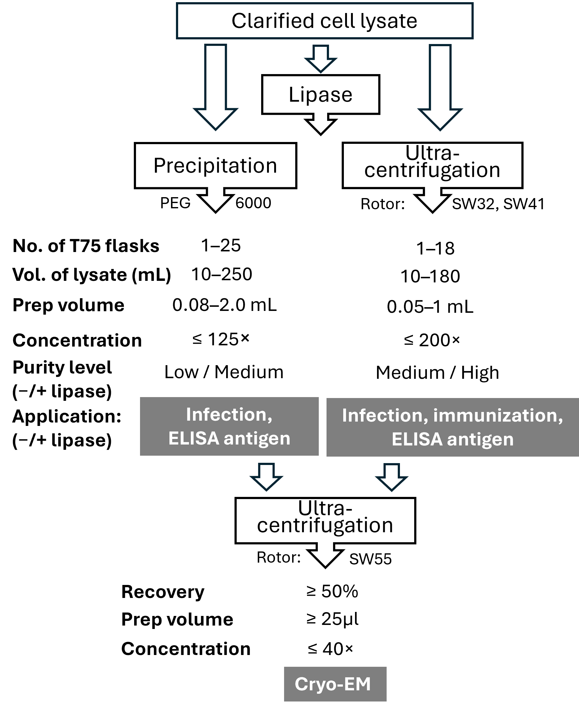 Viruses 18 00169 g006