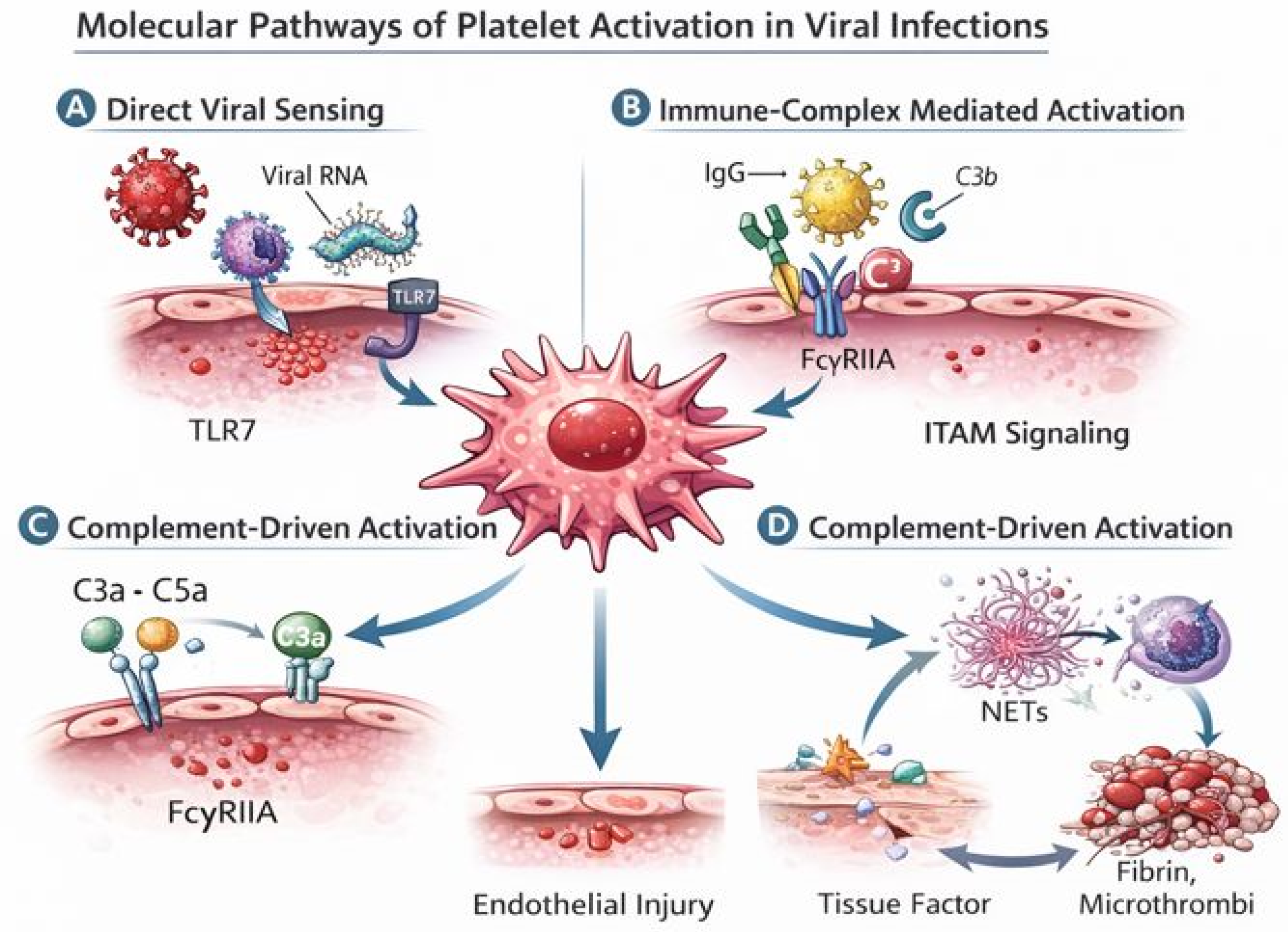 Viruses 18 00183 g002