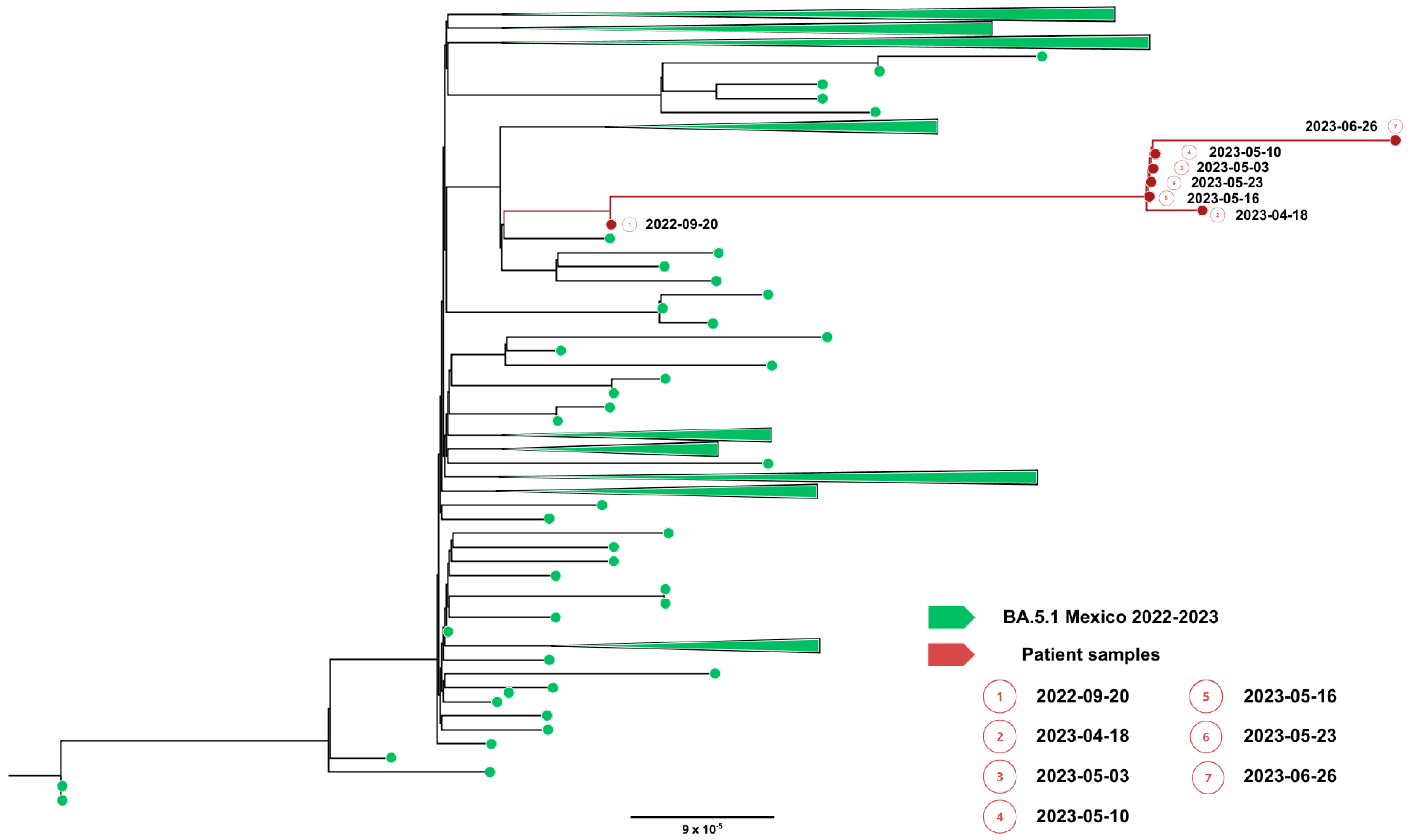 Viruses 18 00189 g002
