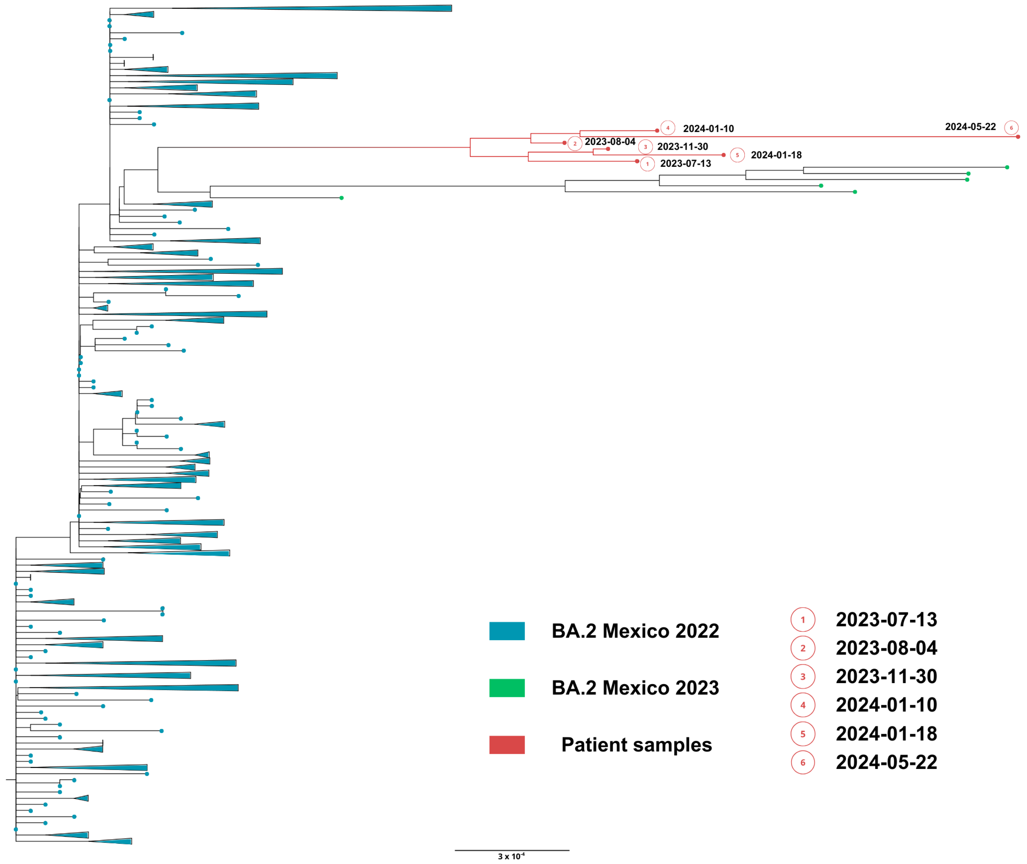 Viruses 18 00189 g007