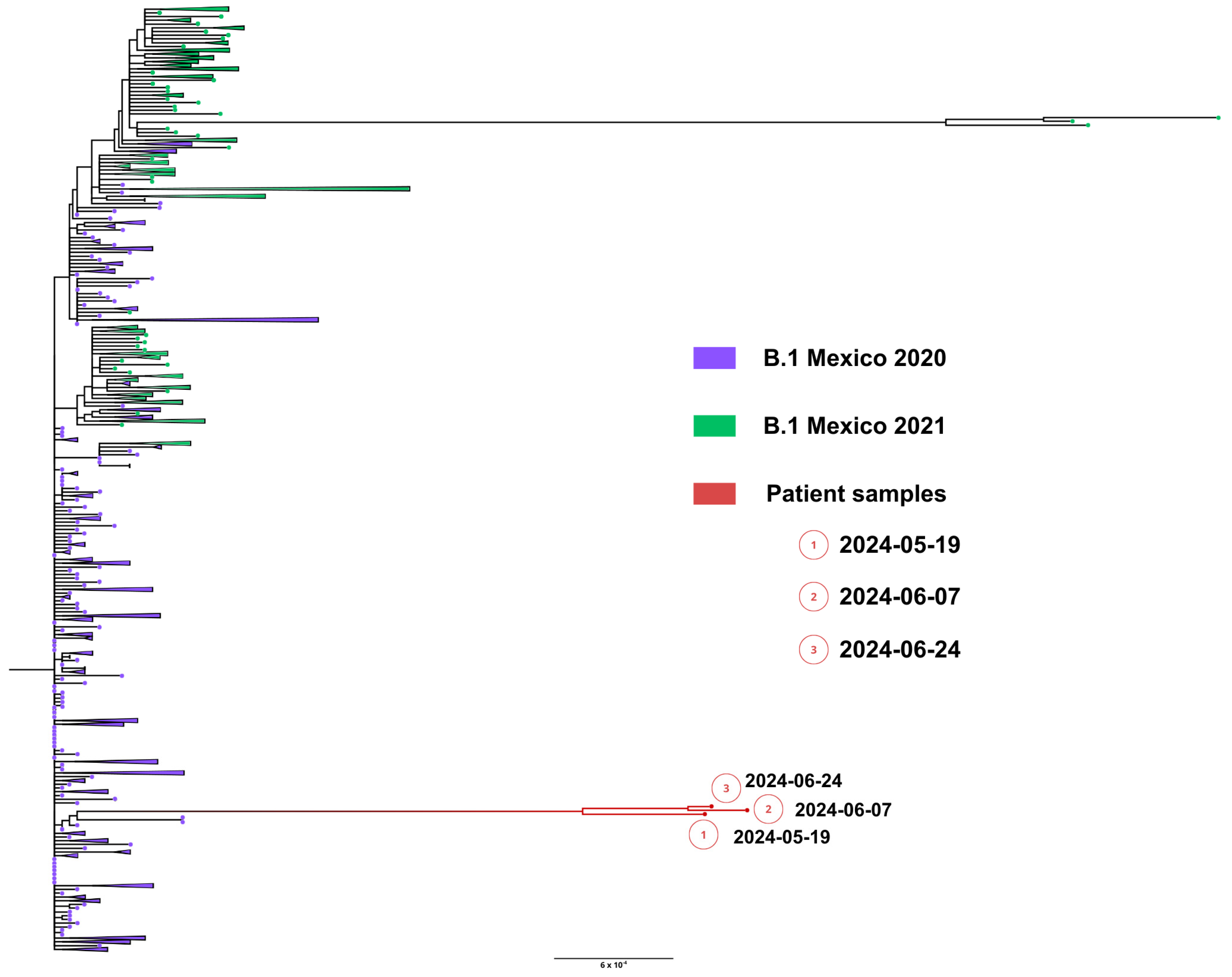 Viruses 18 00189 g009