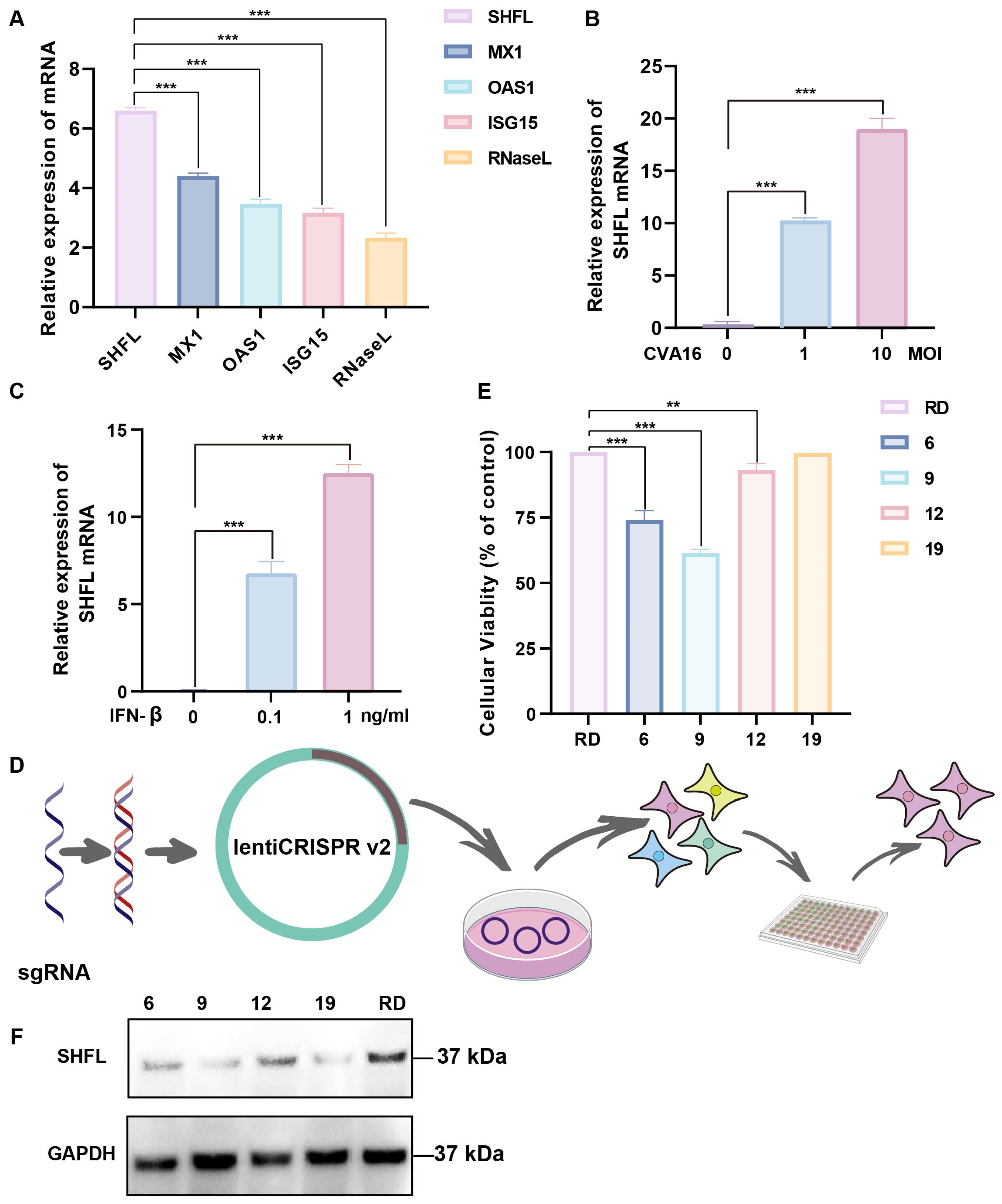 Viruses 18 00192 g001 Viruses 18 00192 g001