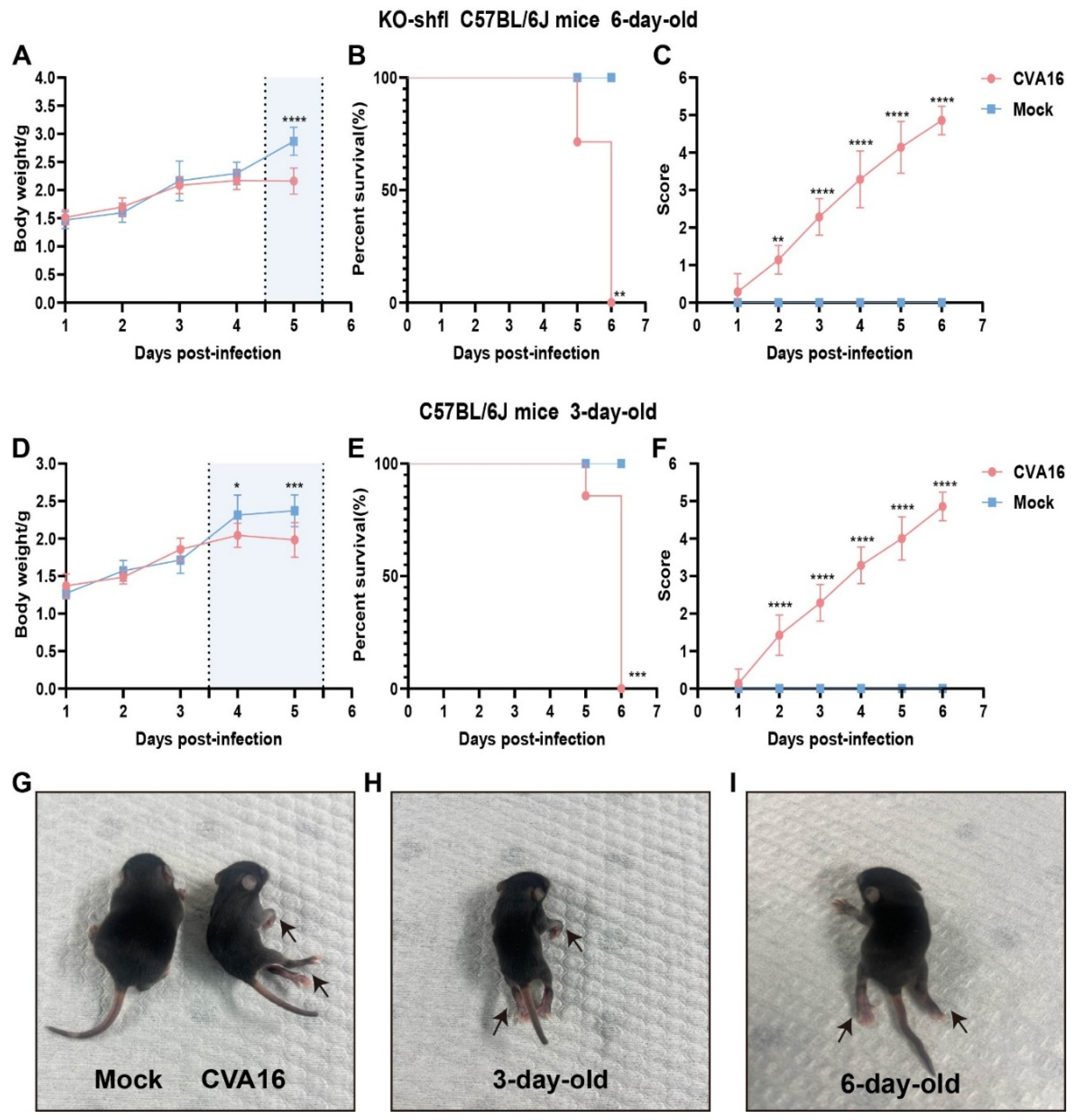 Viruses 18 00192 g003 Viruses 18 00192 g003