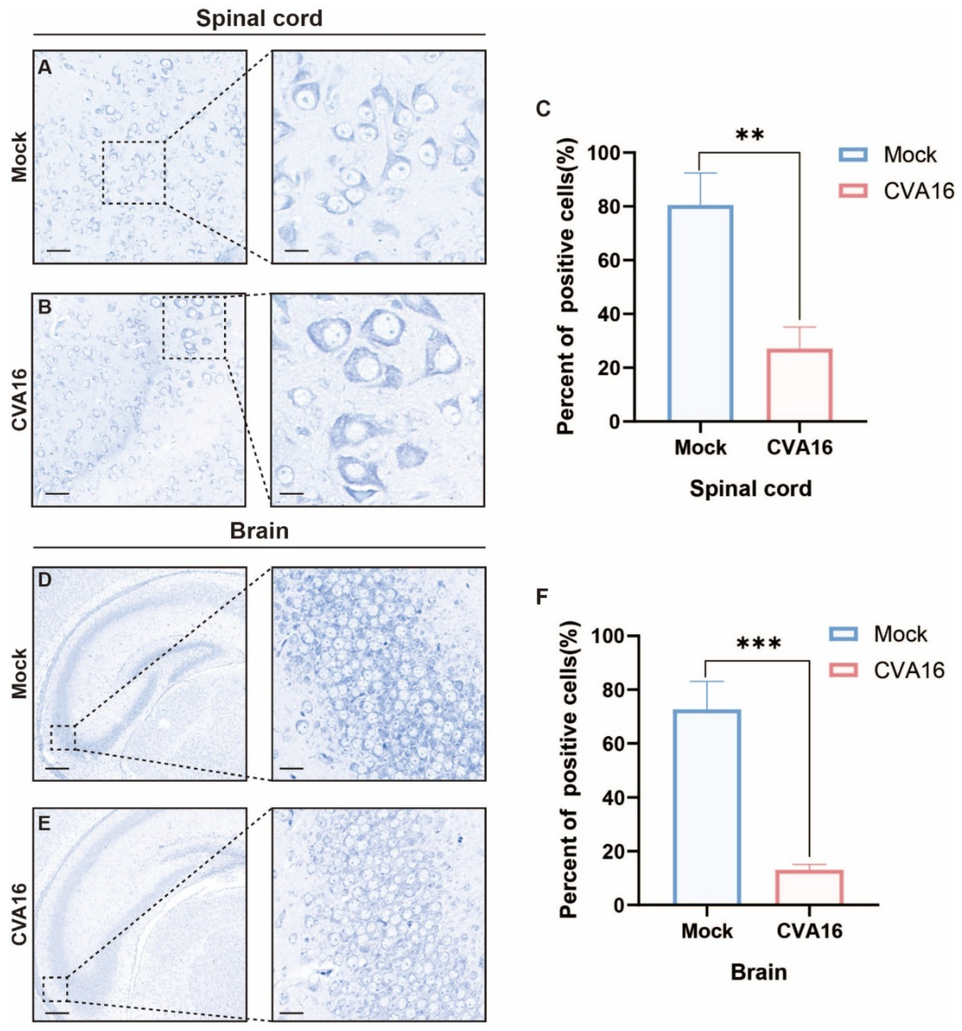 Viruses 18 00192 g007 Viruses 18 00192 g007