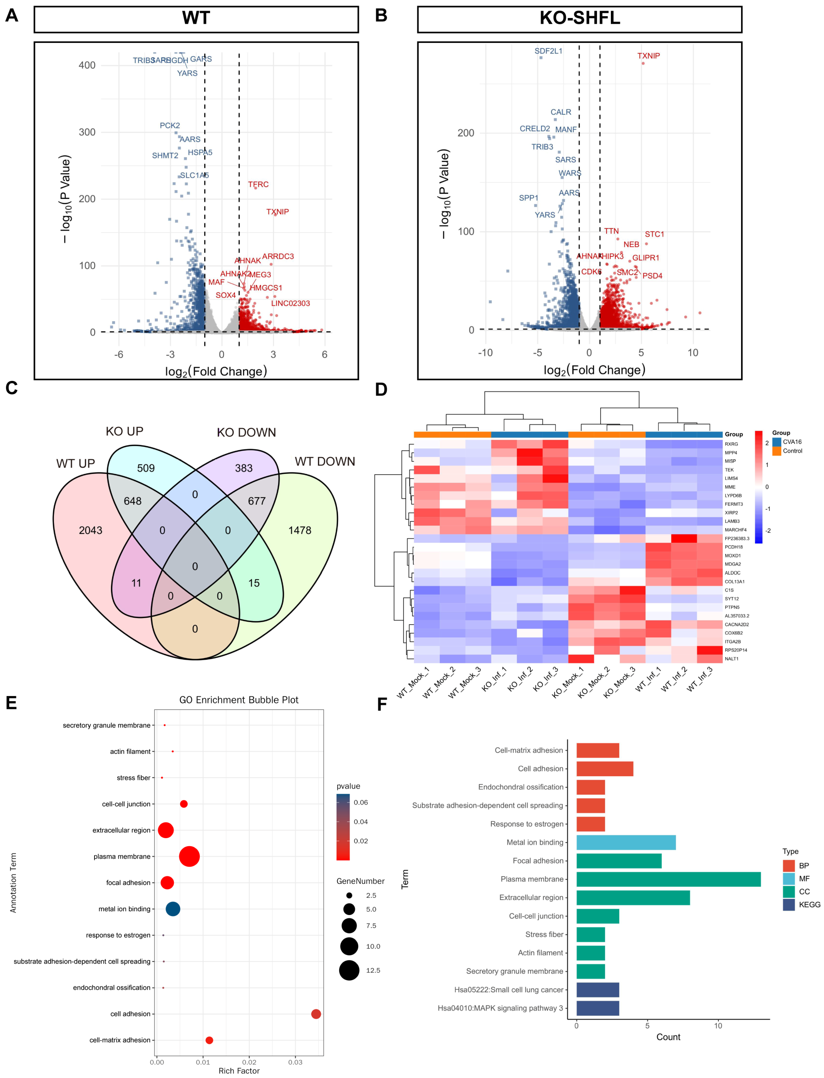 Viruses 18 00192 g008 Viruses 18 00192 g008