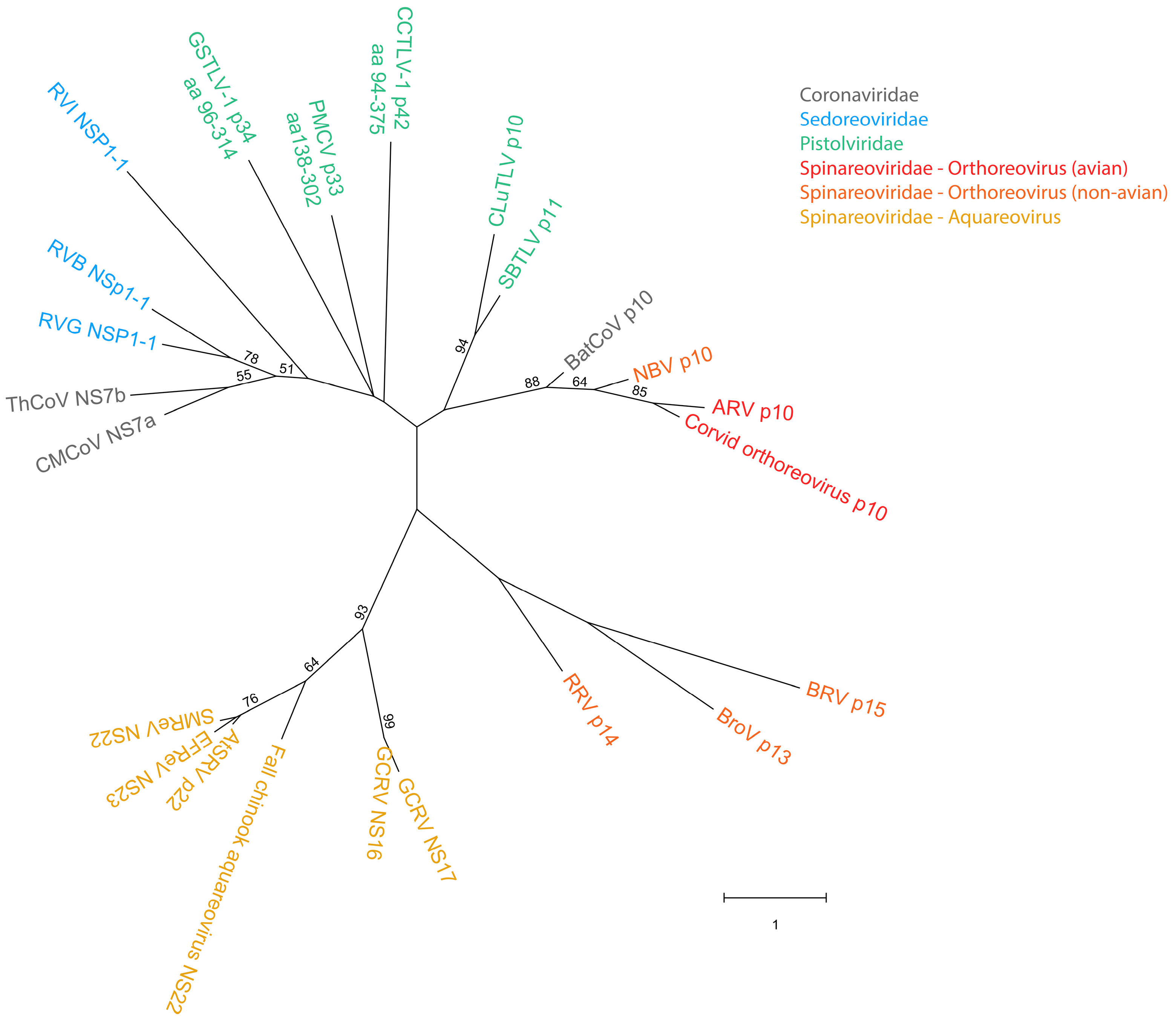 Viruses 18 00193 g002