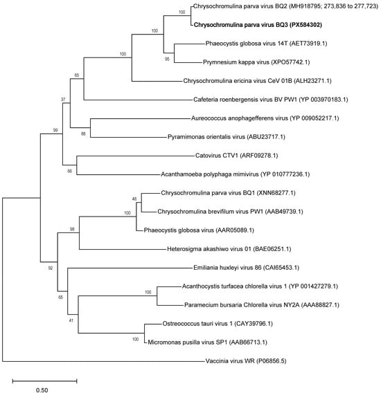 Viruses 18 00196 g001