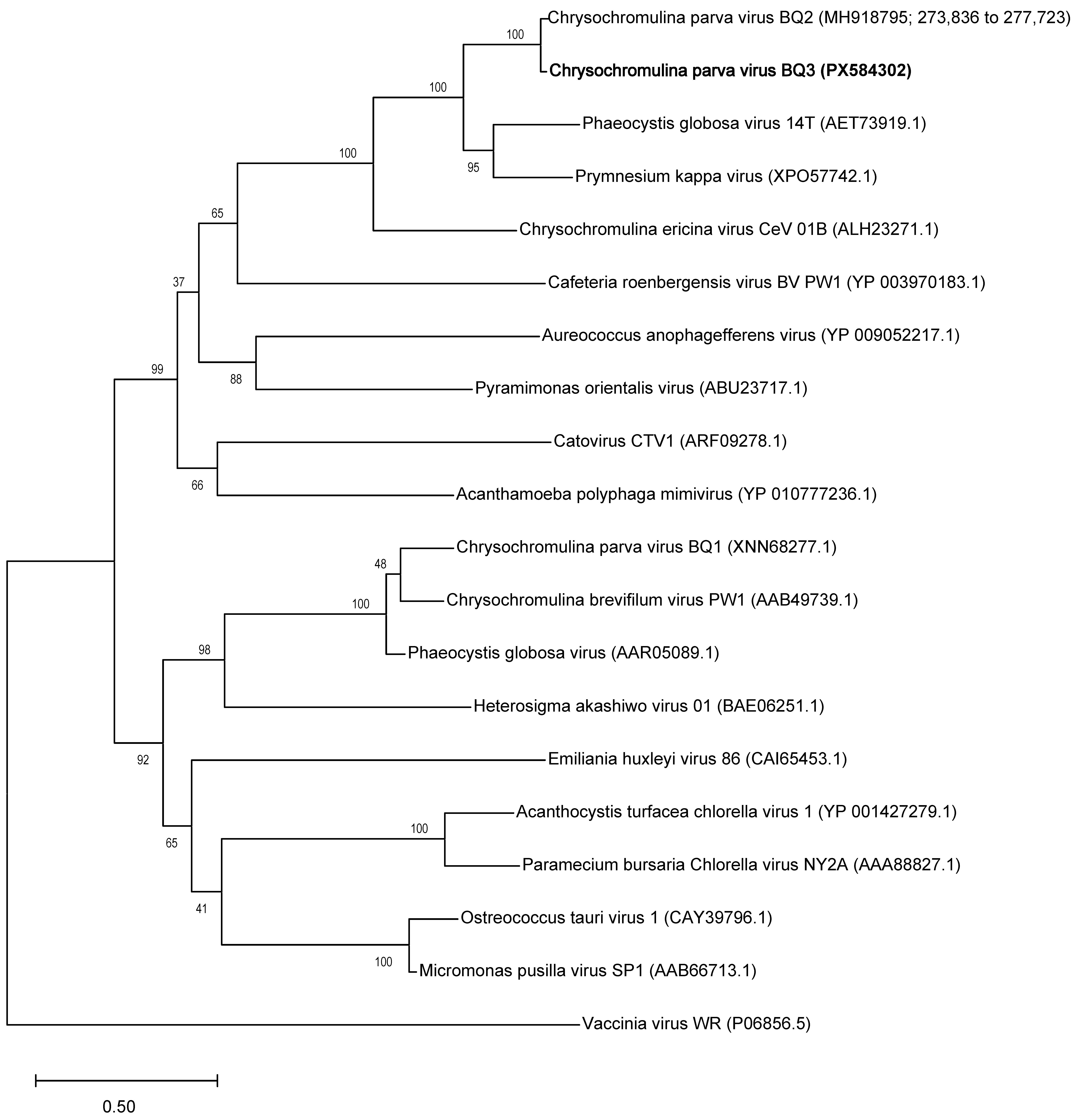 Viruses 18 00196 g001