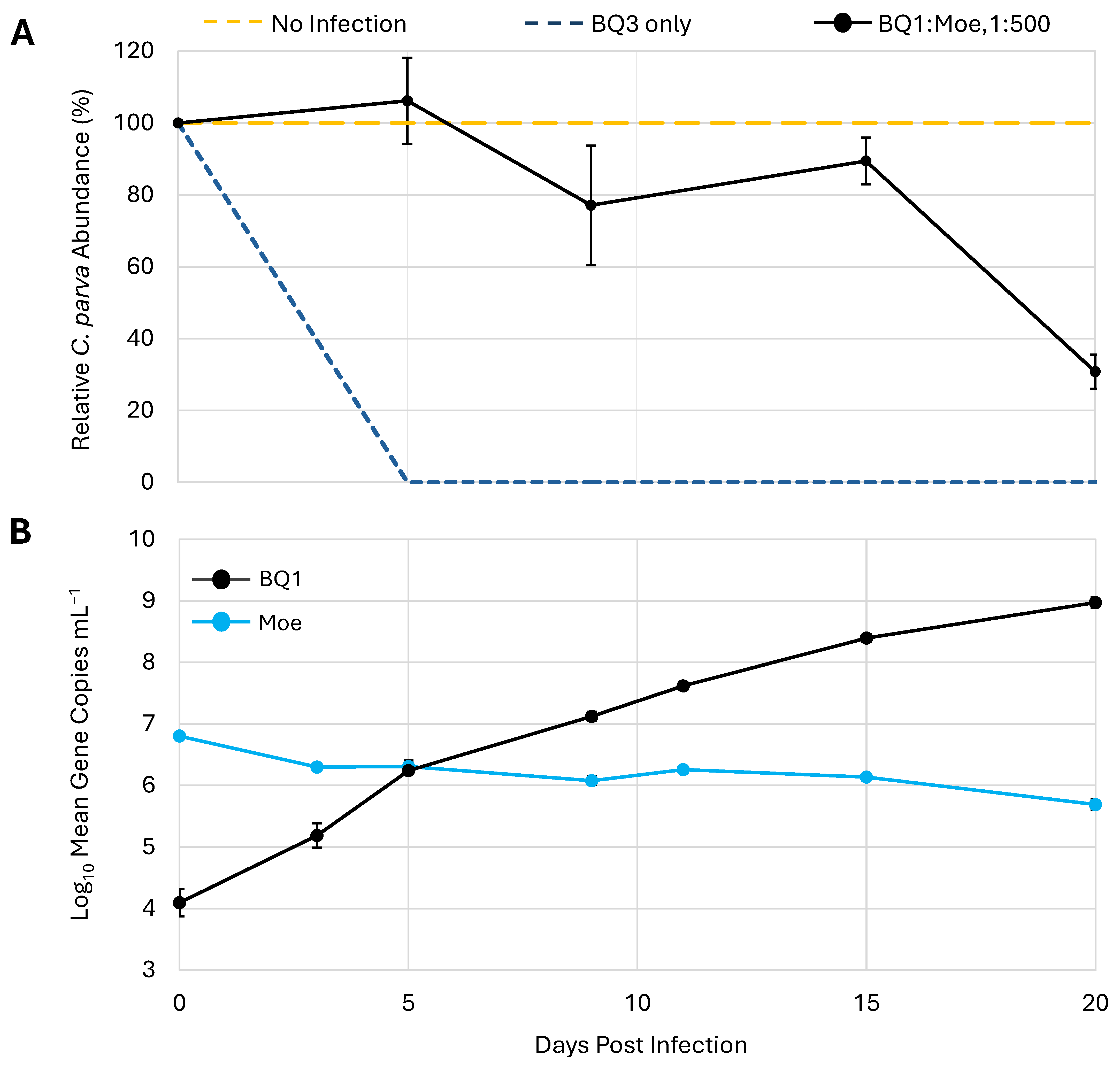 Viruses 18 00196 g006