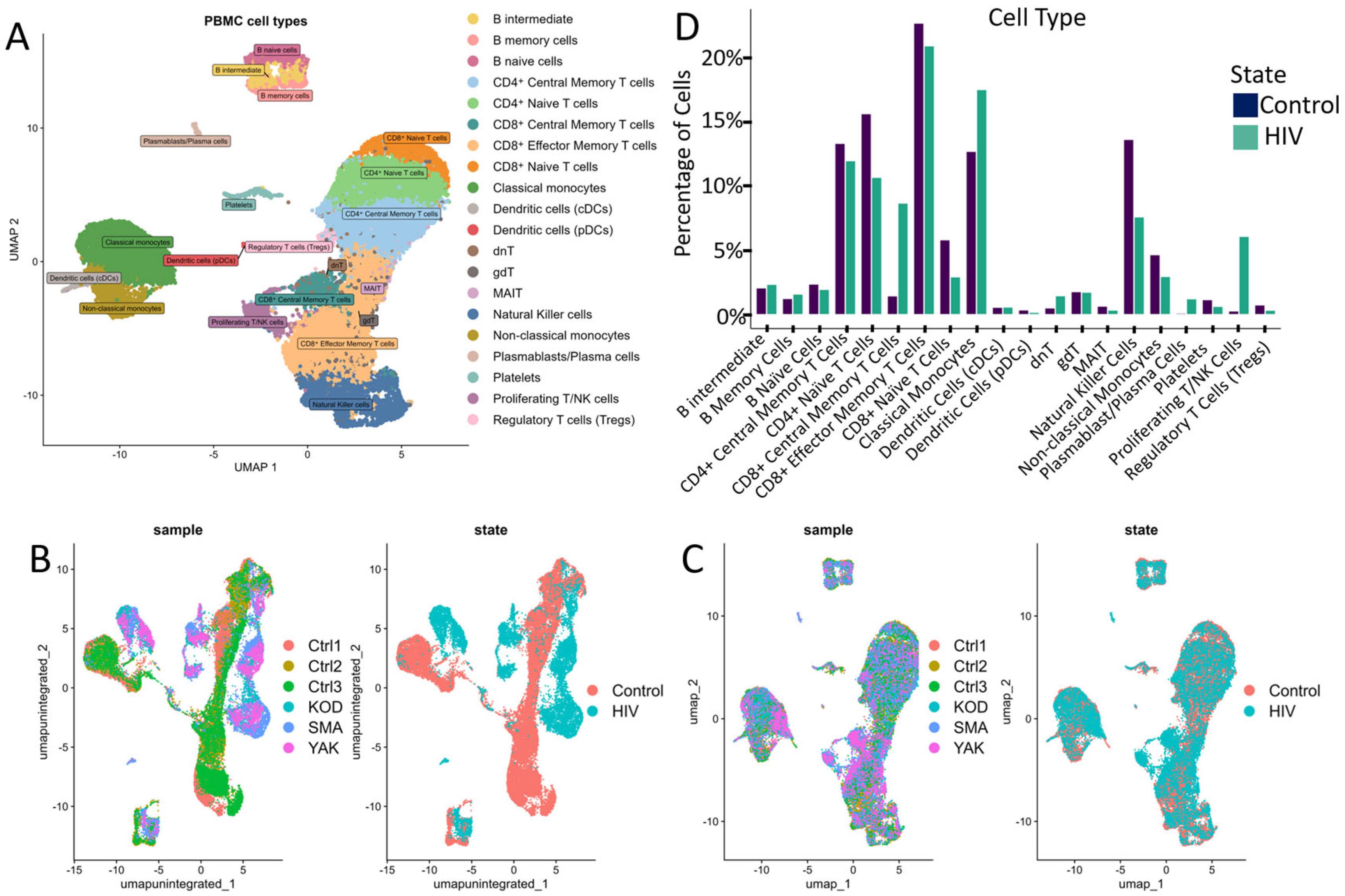 Viruses 18 00204 g002